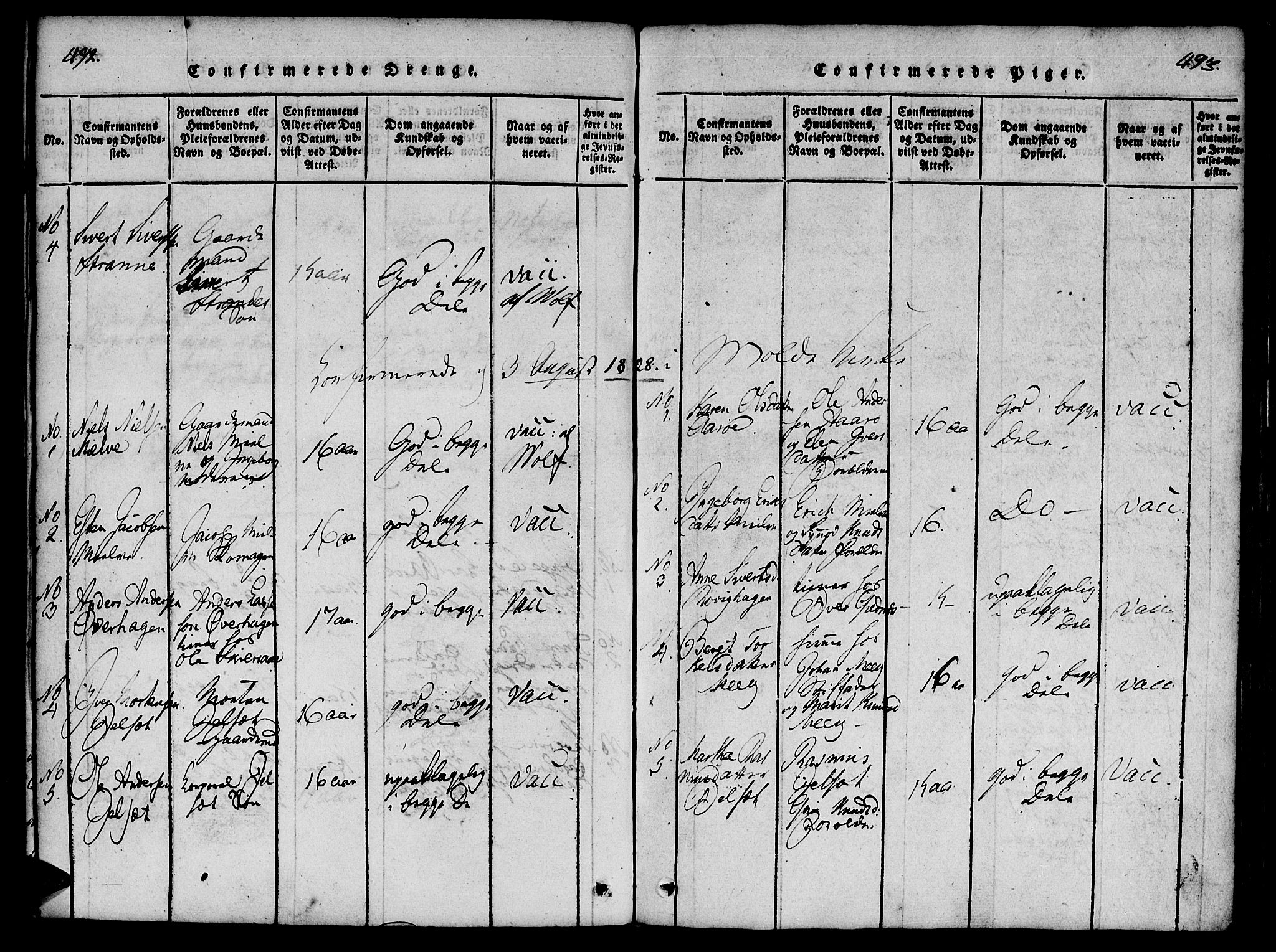 Ministerialprotokoller, klokkerbøker og fødselsregistre - Møre og Romsdal, SAT/A-1454/555/L0652: Parish register (official) no. 555A03, 1817-1843, p. 492-493