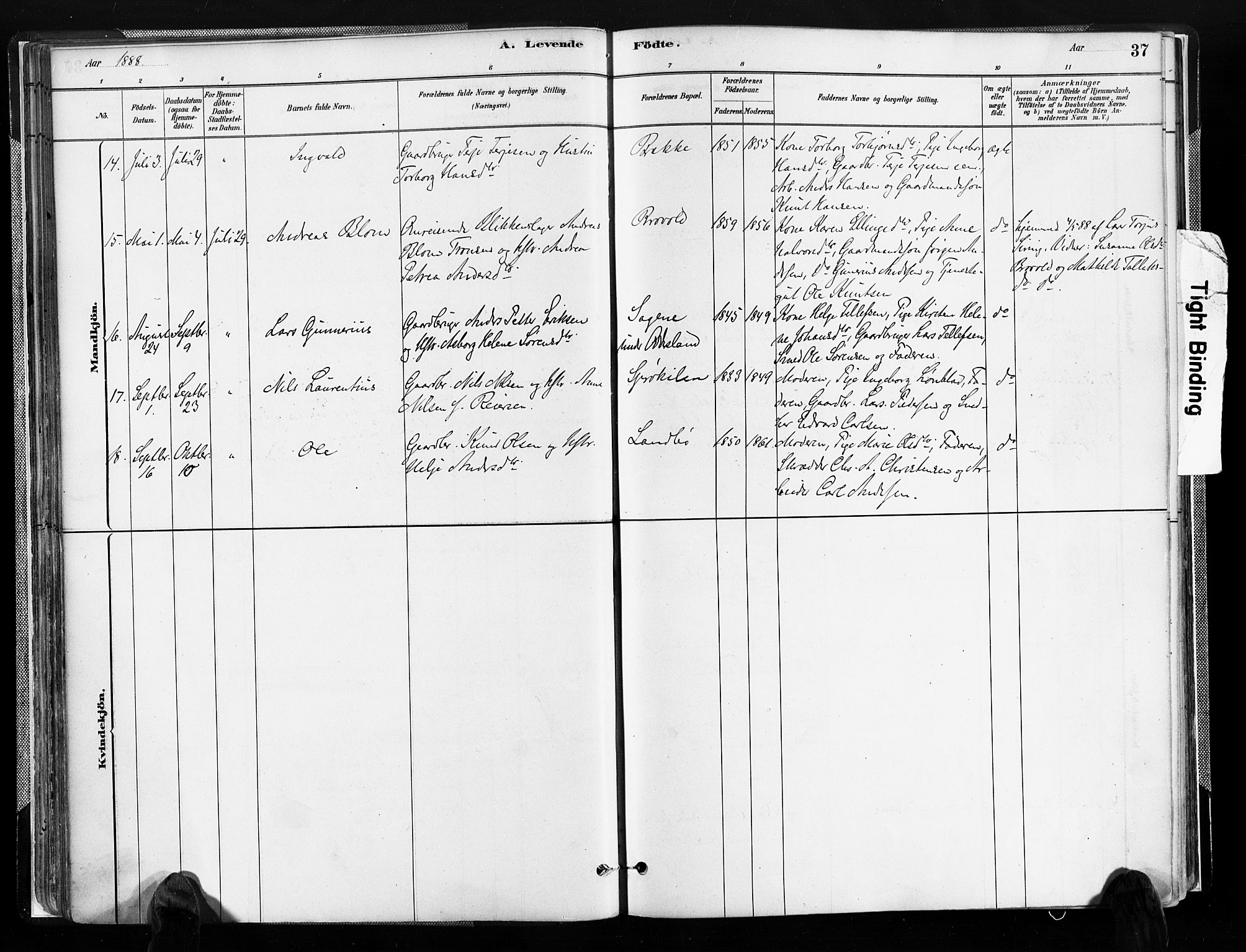 Austre Moland sokneprestkontor, AV/SAK-1111-0001/F/Fa/Faa/L0010: Parish register (official) no. A 10, 1880-1904, p. 37