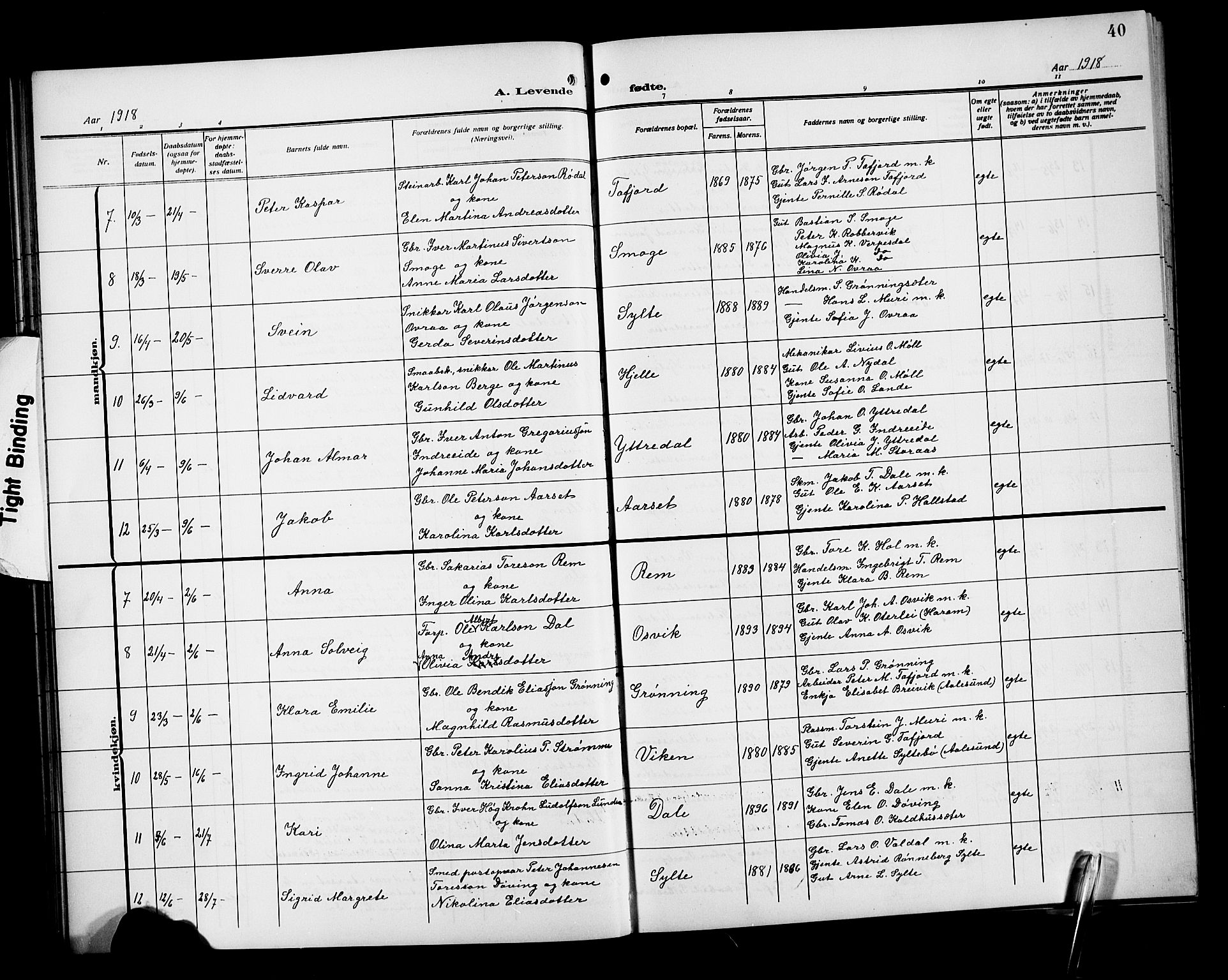 Ministerialprotokoller, klokkerbøker og fødselsregistre - Møre og Romsdal, AV/SAT-A-1454/519/L0265: Parish register (copy) no. 519C06, 1911-1921, p. 40