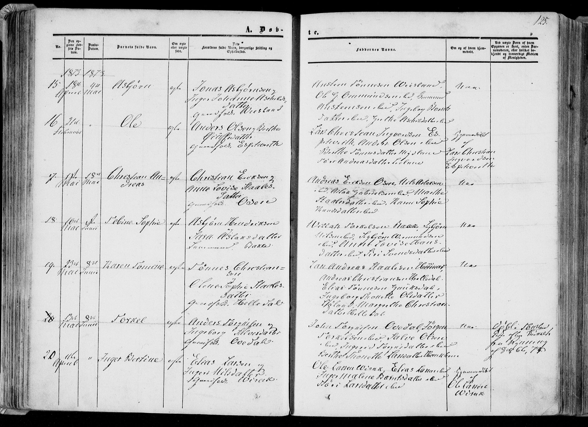 Bakke sokneprestkontor, AV/SAK-1111-0002/F/Fa/Faa/L0006: Parish register (official) no. A 6, 1855-1877, p. 125