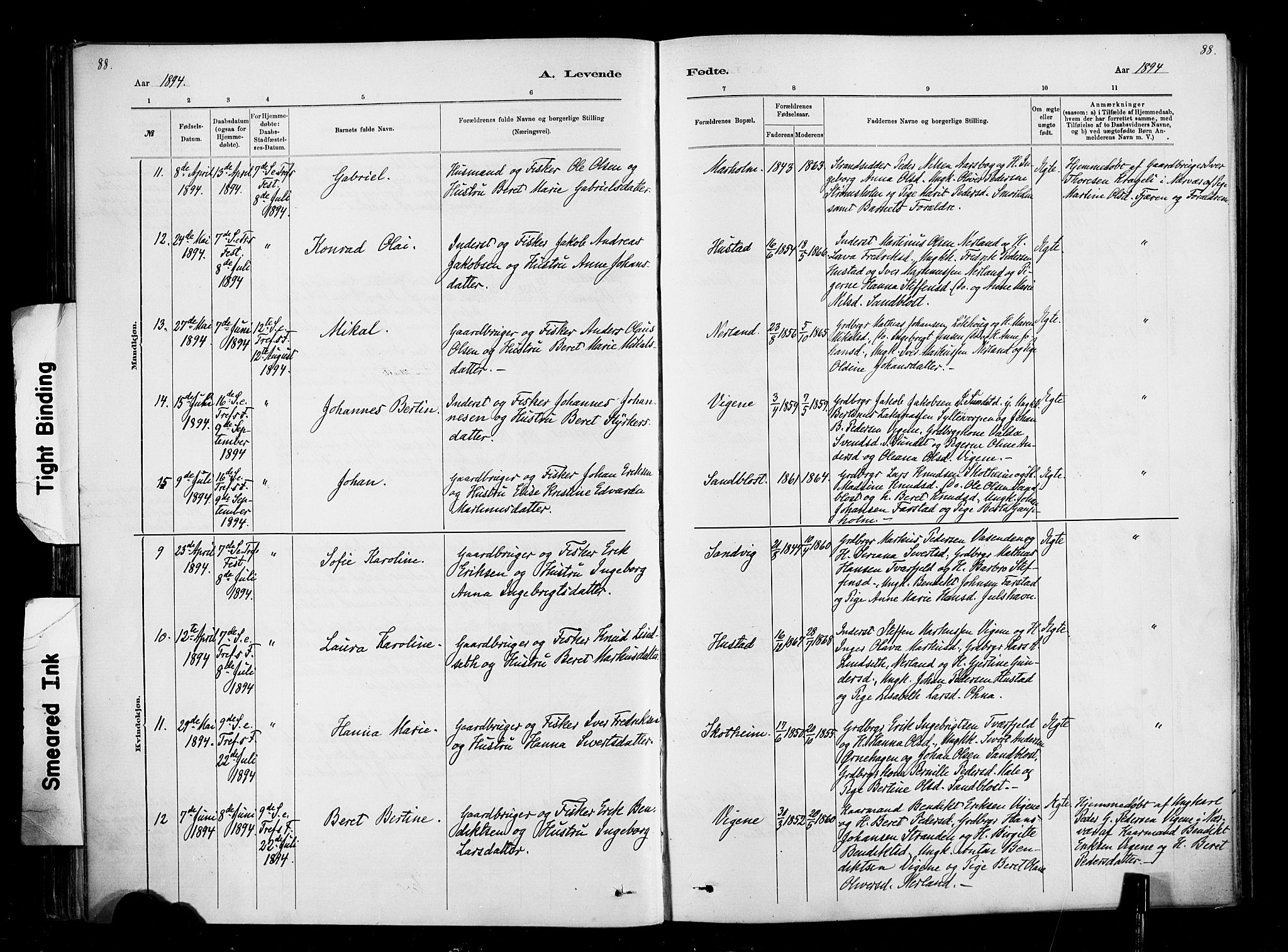 Ministerialprotokoller, klokkerbøker og fødselsregistre - Møre og Romsdal, AV/SAT-A-1454/567/L0778: Parish register (official) no. 567A01, 1881-1903, p. 88