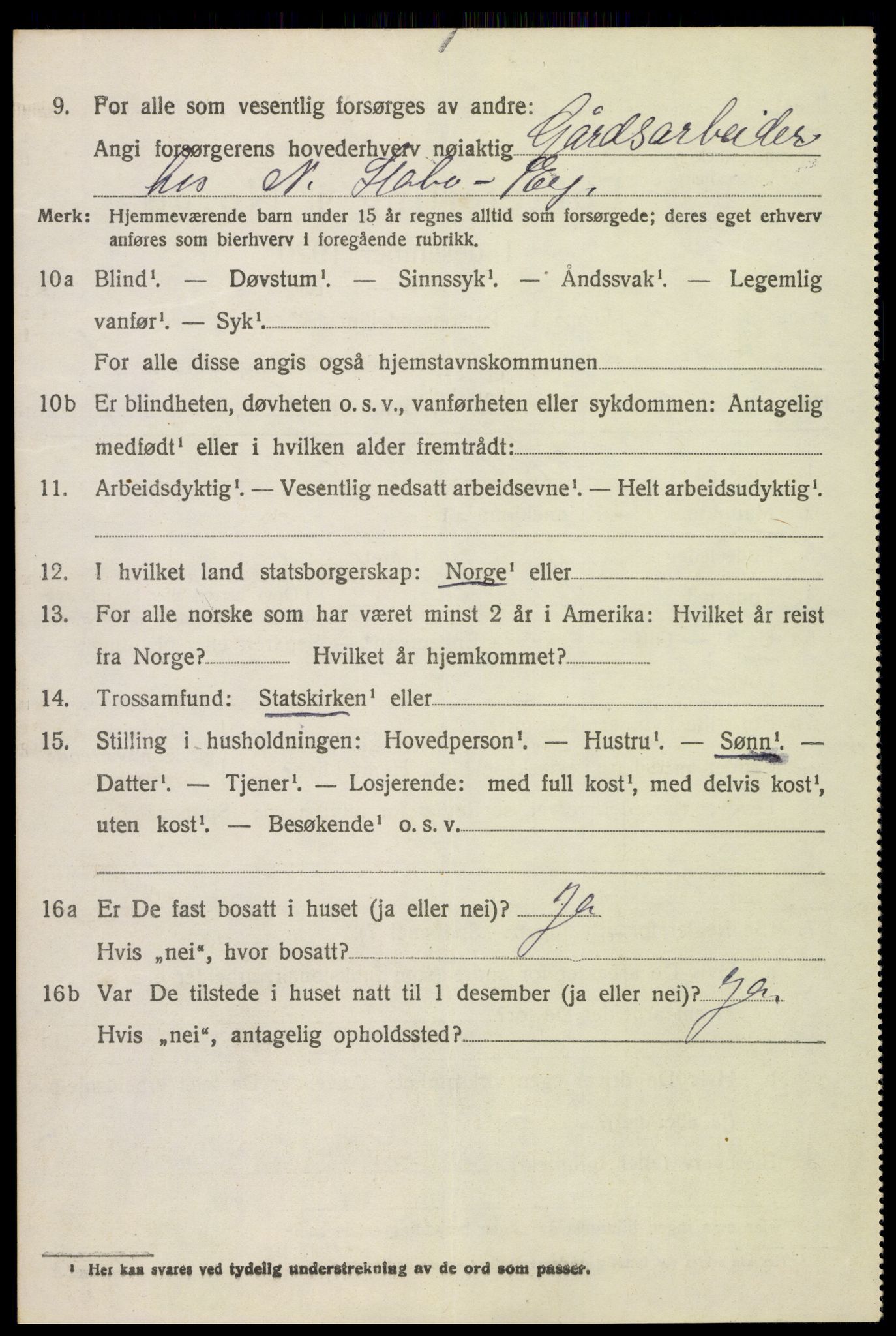 SAH, 1920 census for Nes (Hedmark), 1920, p. 2979