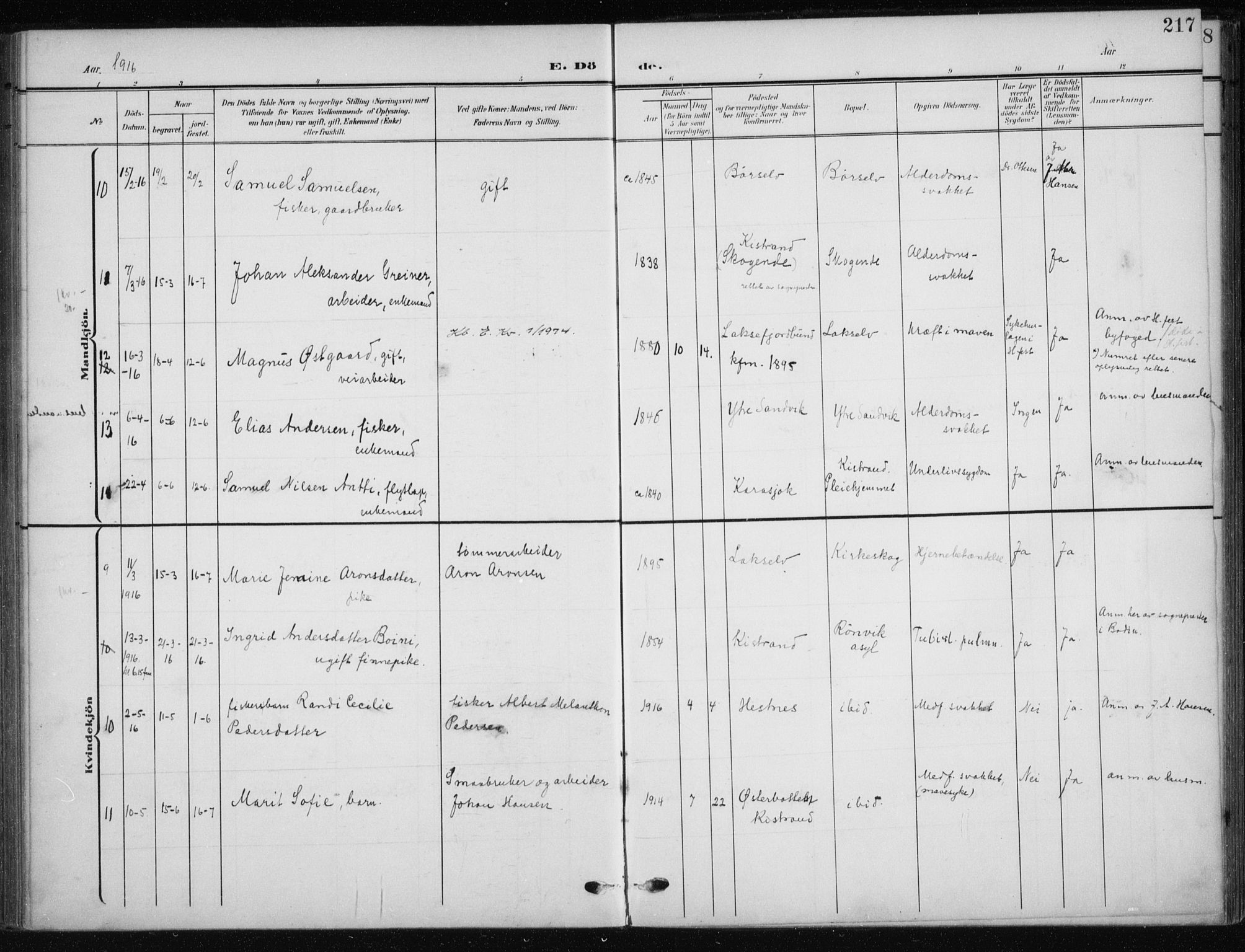 Kistrand/Porsanger sokneprestembete, AV/SATØ-S-1351/H/Ha/L0014.kirke: Parish register (official) no. 14, 1908-1917, p. 217