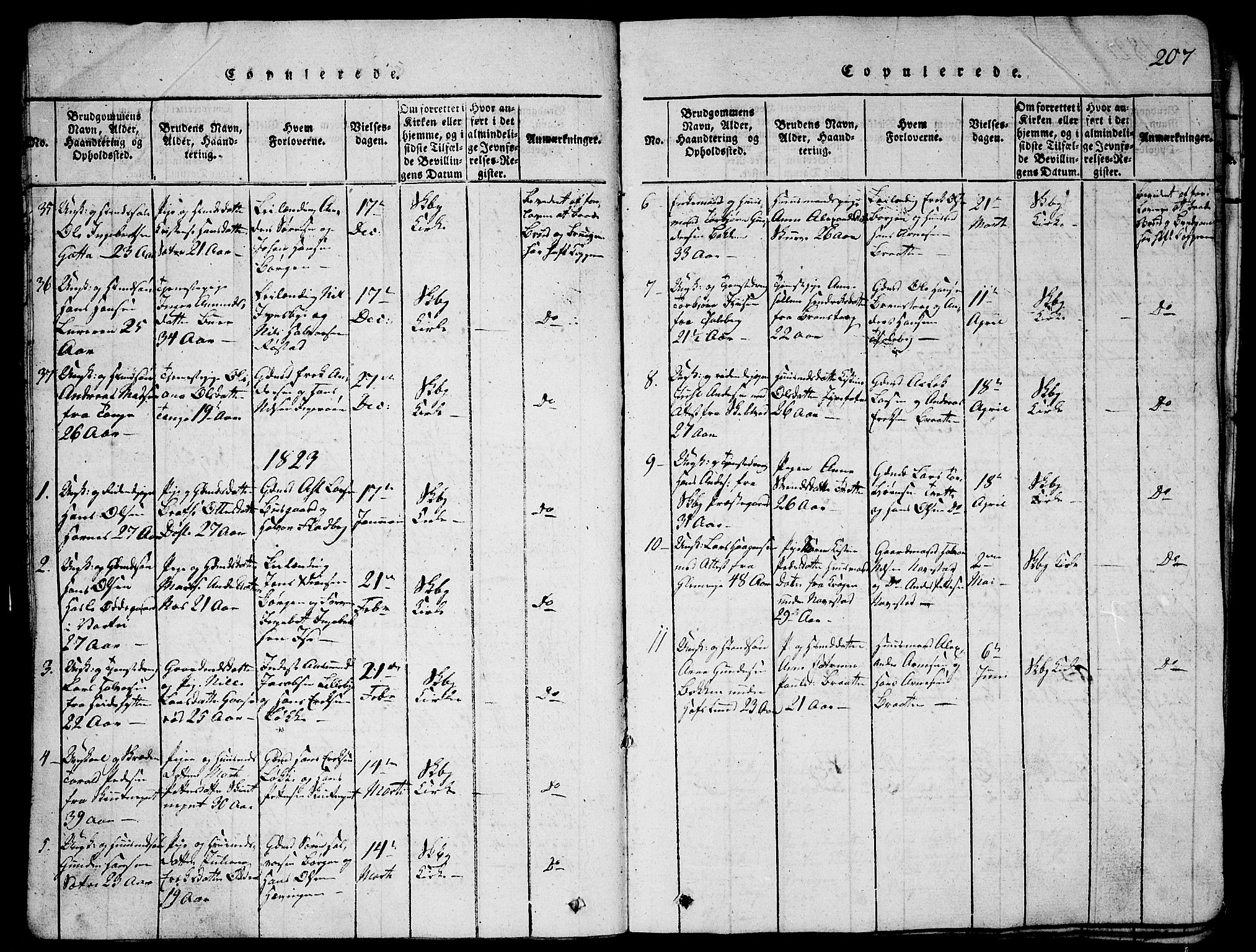Skjeberg prestekontor Kirkebøker, SAO/A-10923/G/Ga/L0001: Parish register (copy) no. I 1, 1815-1830, p. 207