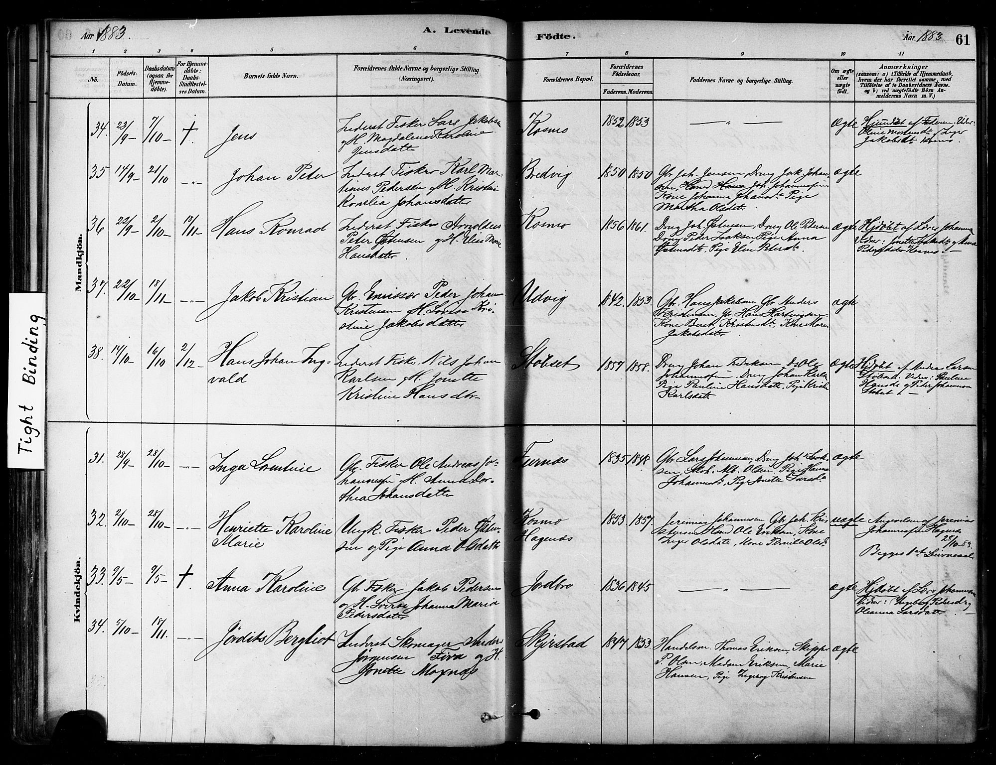 Ministerialprotokoller, klokkerbøker og fødselsregistre - Nordland, AV/SAT-A-1459/852/L0740: Parish register (official) no. 852A10, 1878-1894, p. 61