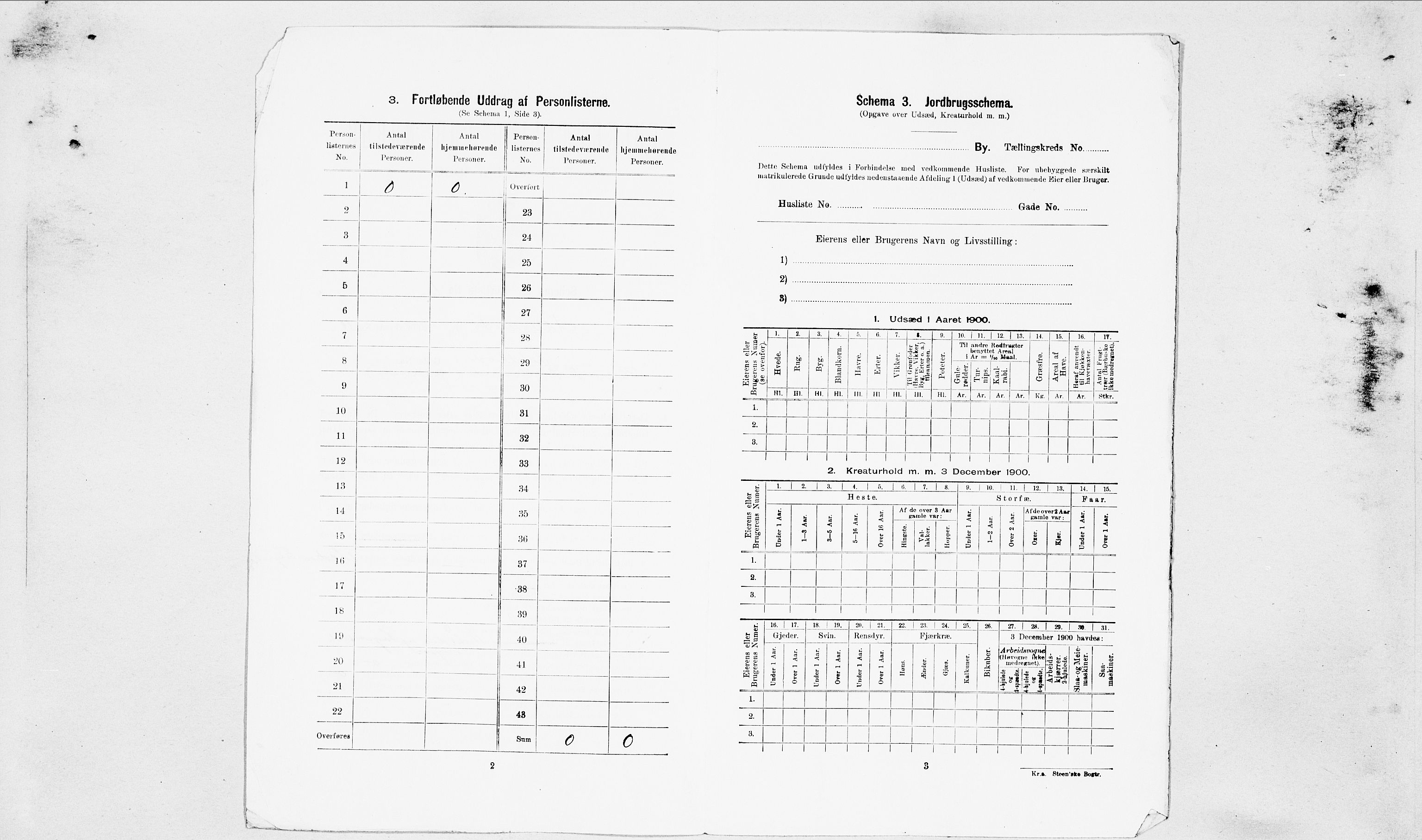 SAT, 1900 census for Ålesund, 1900, p. 2510