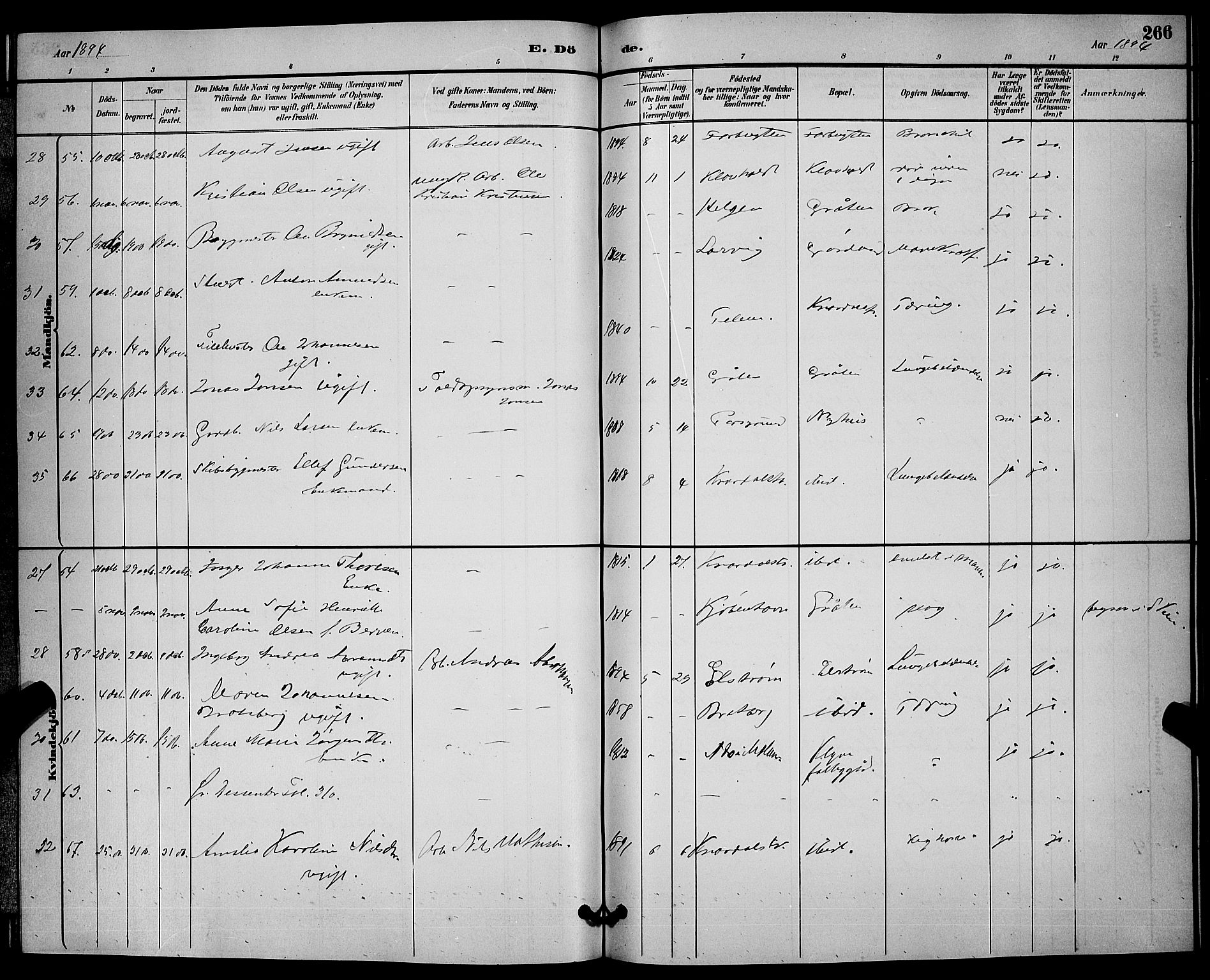 Solum kirkebøker, SAKO/A-306/G/Ga/L0007: Parish register (copy) no. I 7, 1884-1898, p. 266