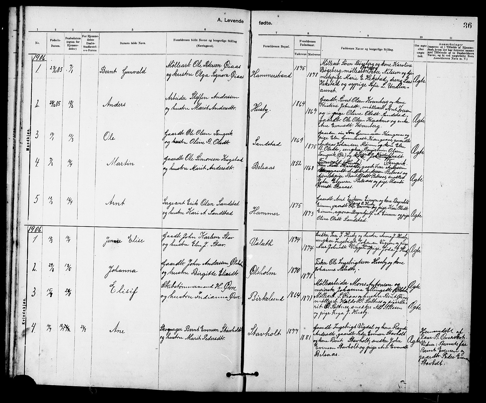 Ministerialprotokoller, klokkerbøker og fødselsregistre - Sør-Trøndelag, SAT/A-1456/666/L0790: Parish register (copy) no. 666C03, 1885-1908, p. 36