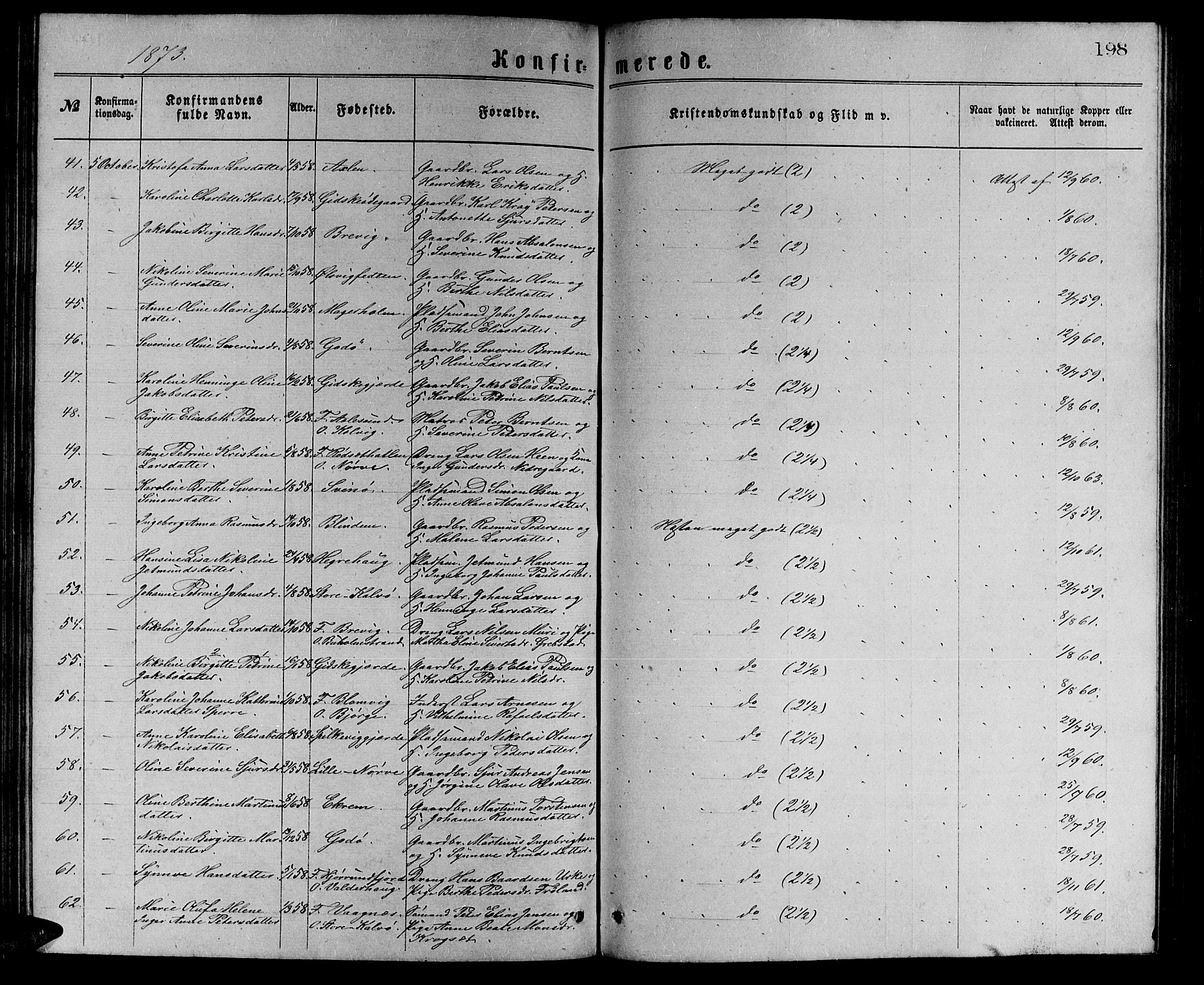 Ministerialprotokoller, klokkerbøker og fødselsregistre - Møre og Romsdal, AV/SAT-A-1454/528/L0429: Parish register (copy) no. 528C10, 1872-1886, p. 198