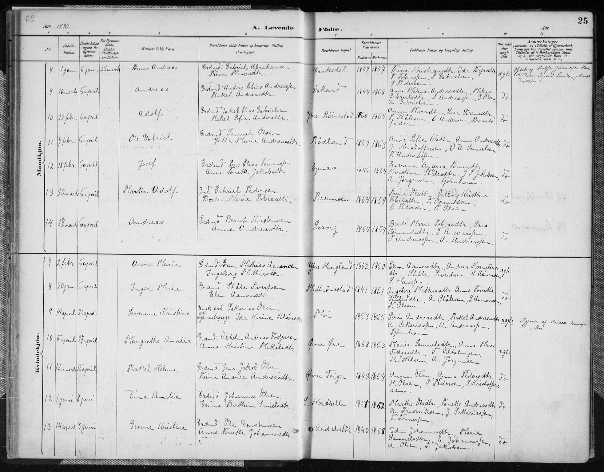 Kvinesdal sokneprestkontor, AV/SAK-1111-0026/F/Fa/Fab/L0008: Parish register (official) no. A 8, 1886-1897, p. 25