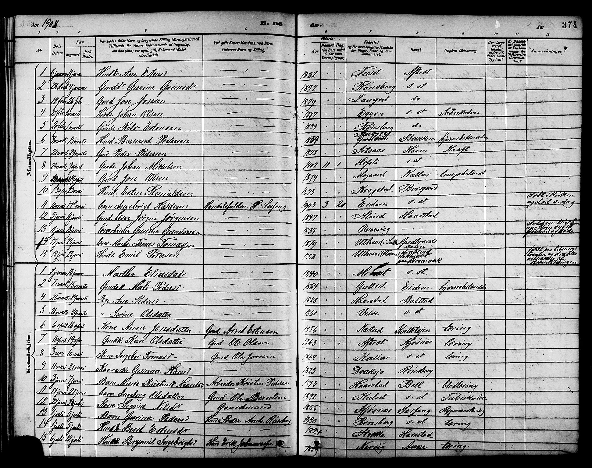 Ministerialprotokoller, klokkerbøker og fødselsregistre - Sør-Trøndelag, AV/SAT-A-1456/695/L1157: Parish register (copy) no. 695C08, 1889-1913, p. 374