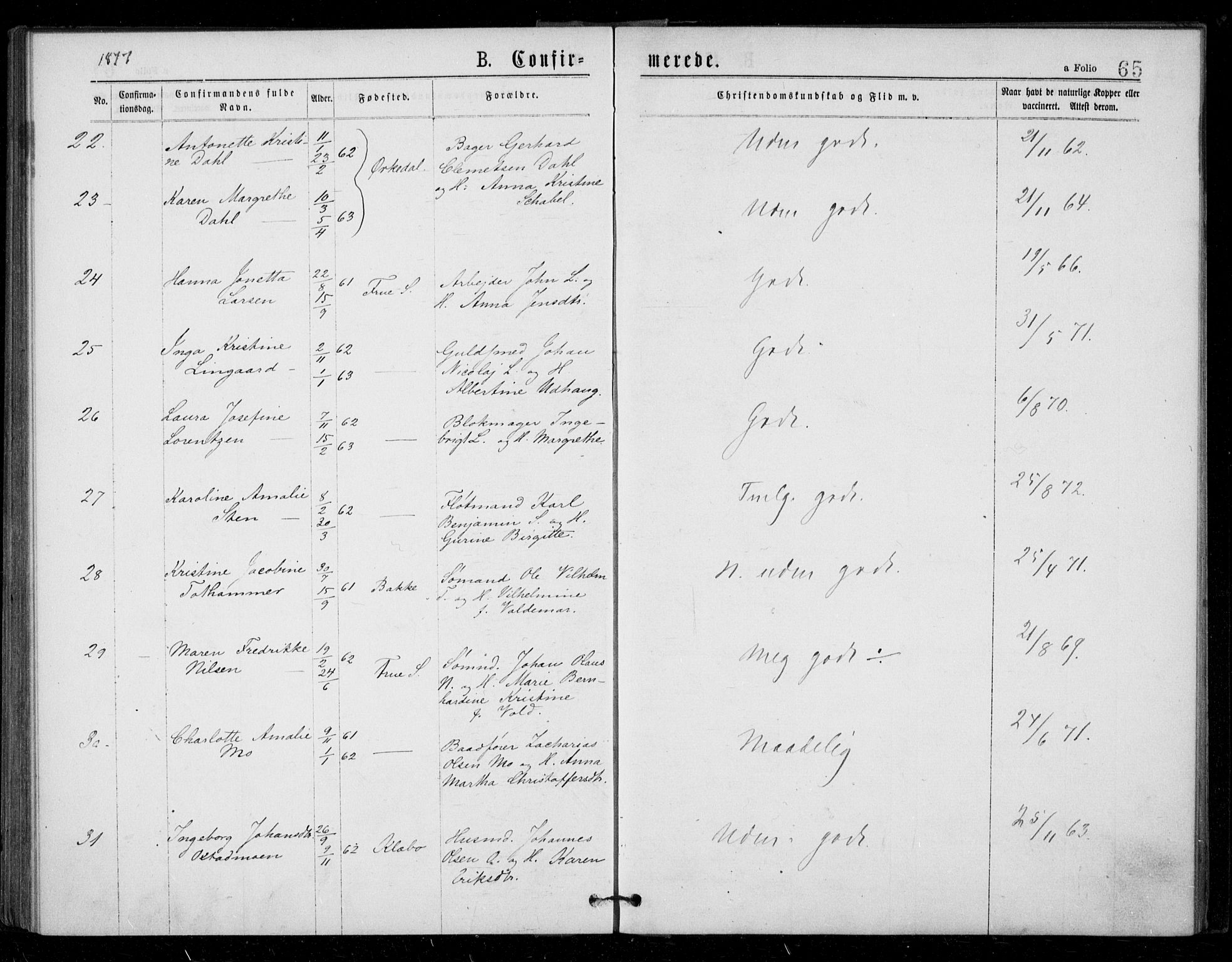 Ministerialprotokoller, klokkerbøker og fødselsregistre - Sør-Trøndelag, AV/SAT-A-1456/602/L0121: Parish register (official) no. 602A19, 1872-1879, p. 65