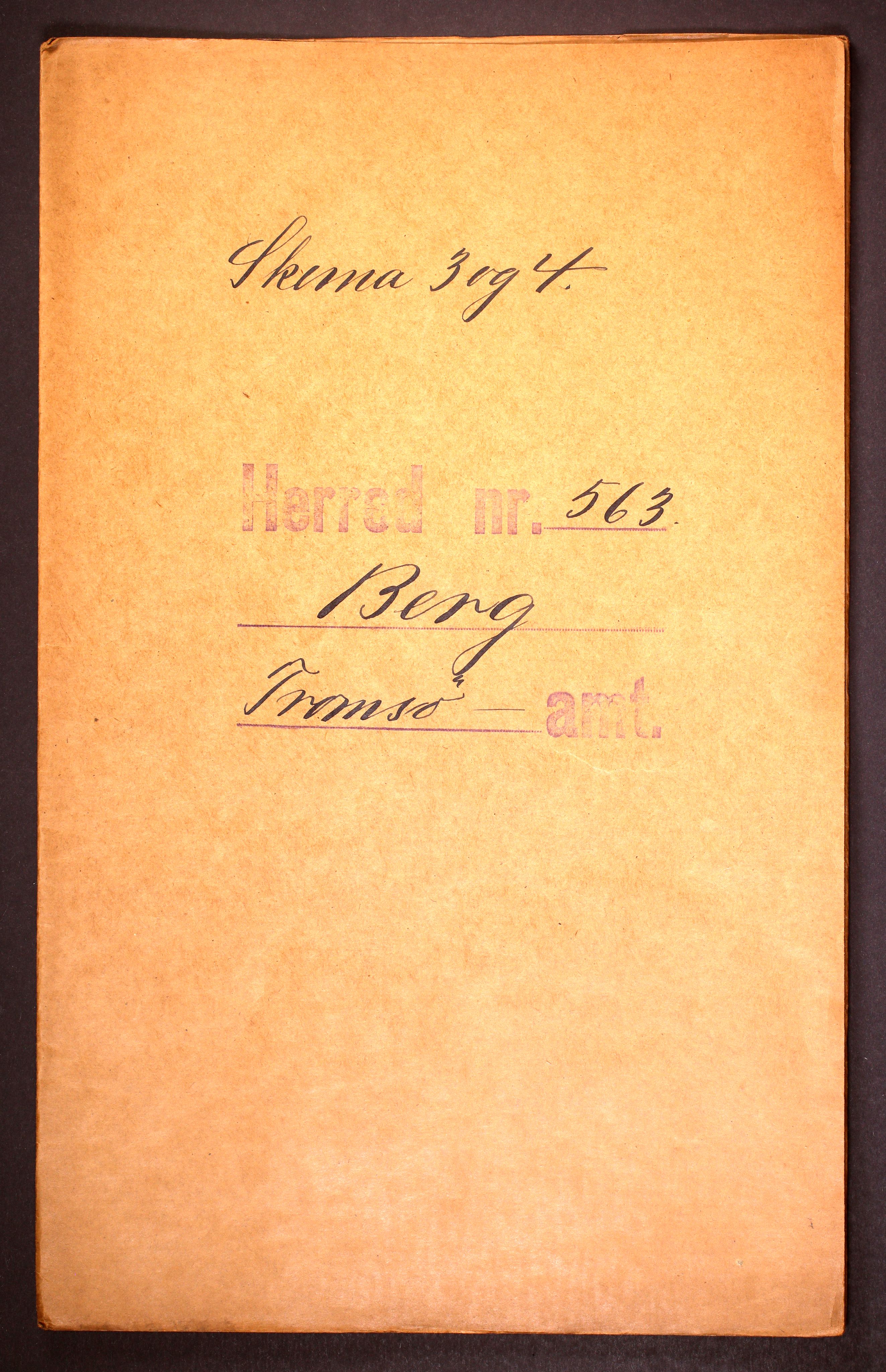 RA, 1910 census for Berg, 1910, p. 1