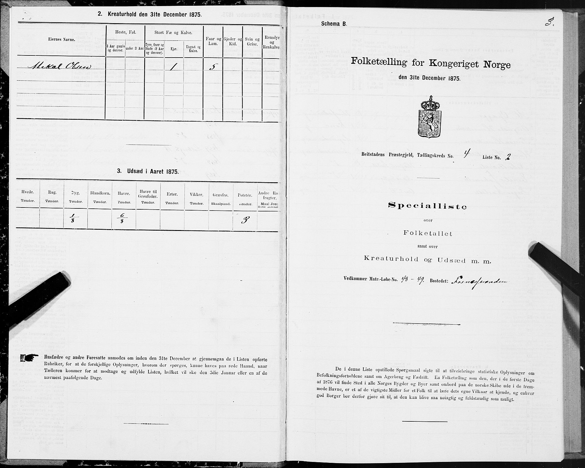 SAT, 1875 census for 1727P Beitstad, 1875, p. 3003