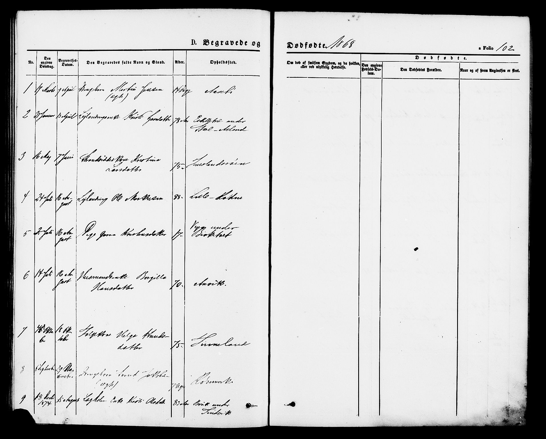 Vikedal sokneprestkontor, SAST/A-101840/01/IV: Parish register (official) no. A 9, 1868-1885, p. 102
