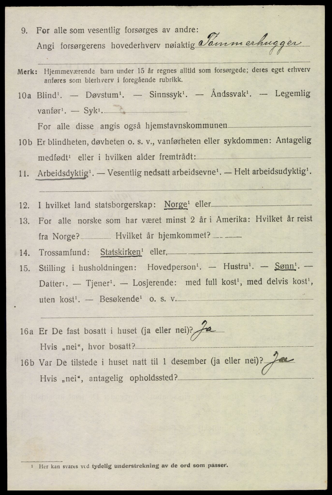 SAH, 1920 census for Trysil, 1920, p. 3084