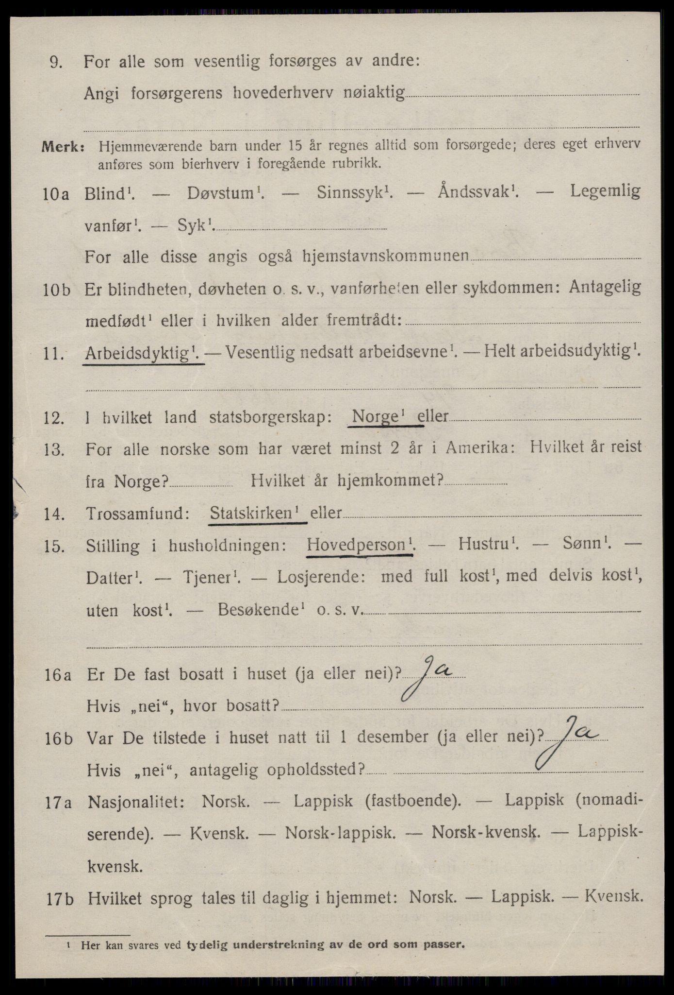 SAT, 1920 census for Børsa, 1920, p. 558