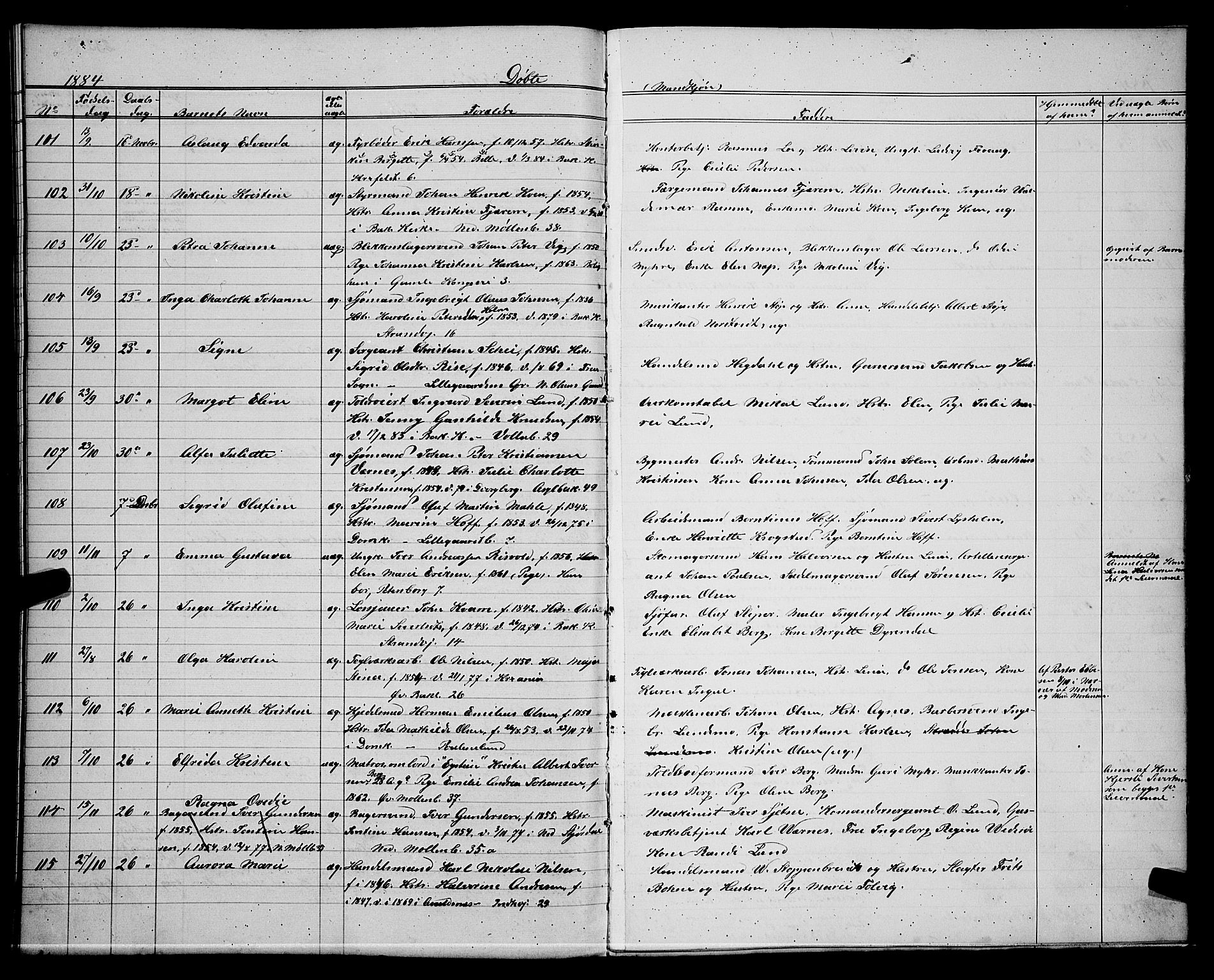 Ministerialprotokoller, klokkerbøker og fødselsregistre - Sør-Trøndelag, SAT/A-1456/604/L0220: Parish register (copy) no. 604C03, 1870-1885, p. 233b