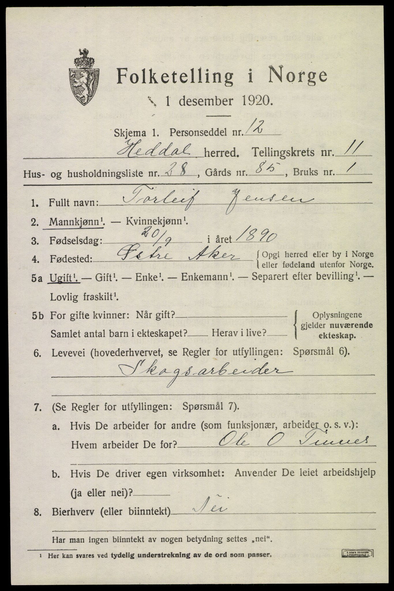 SAKO, 1920 census for Heddal, 1920, p. 8108