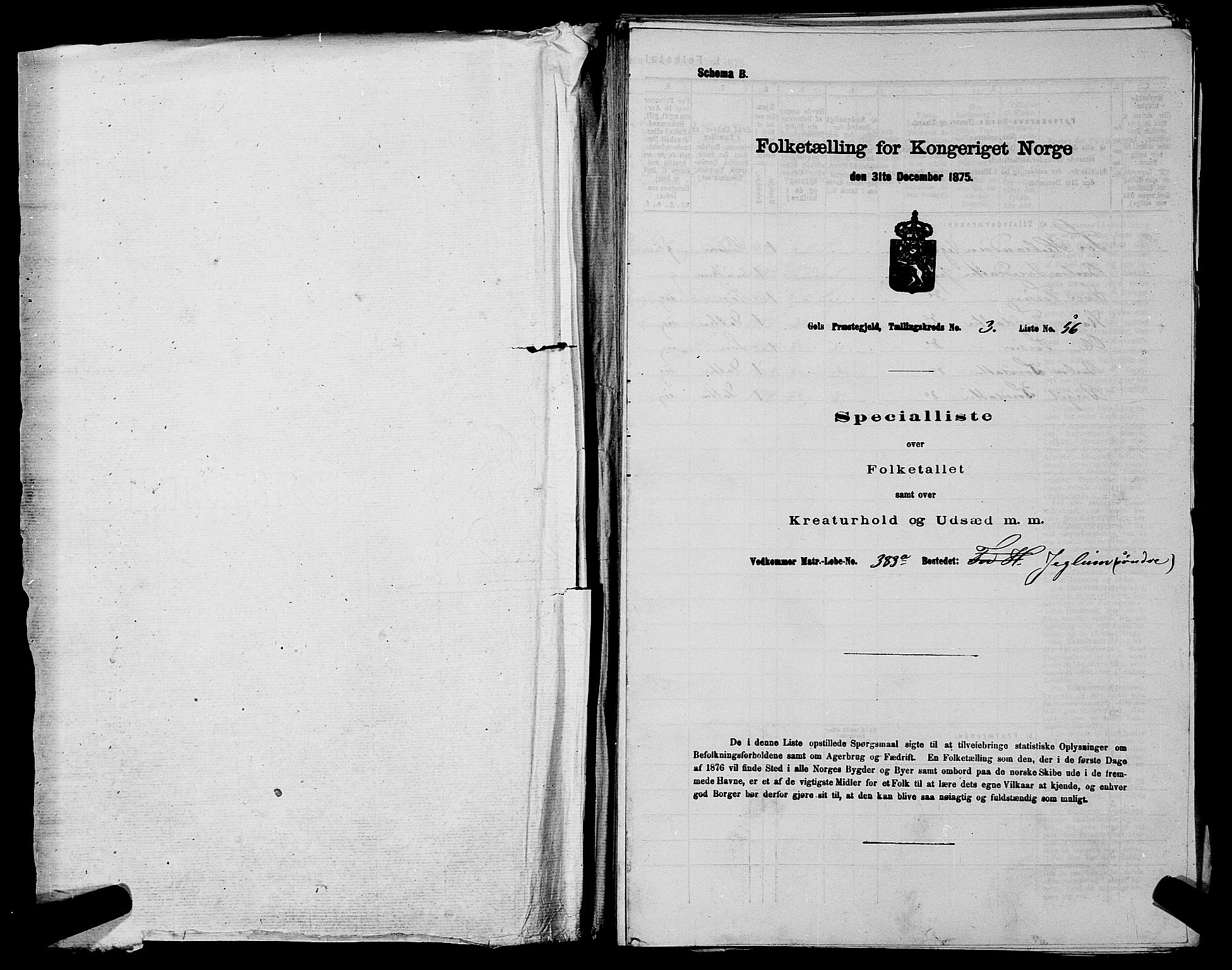 SAKO, 1875 census for 0617P Gol, 1875, p. 429