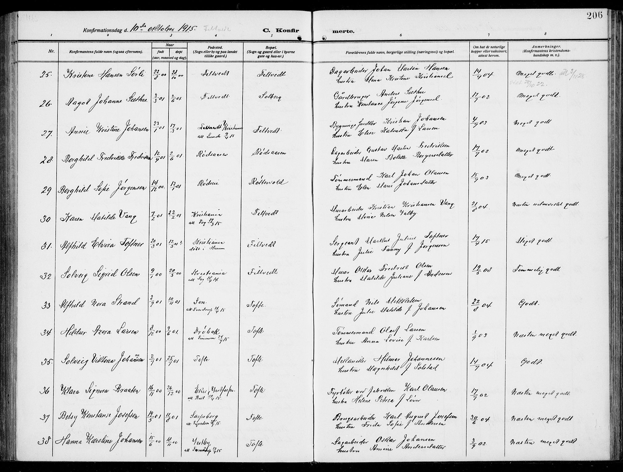 Hurum kirkebøker, AV/SAKO-A-229/F/Fa/L0016: Parish register (official) no. 16, 1899-1918, p. 206