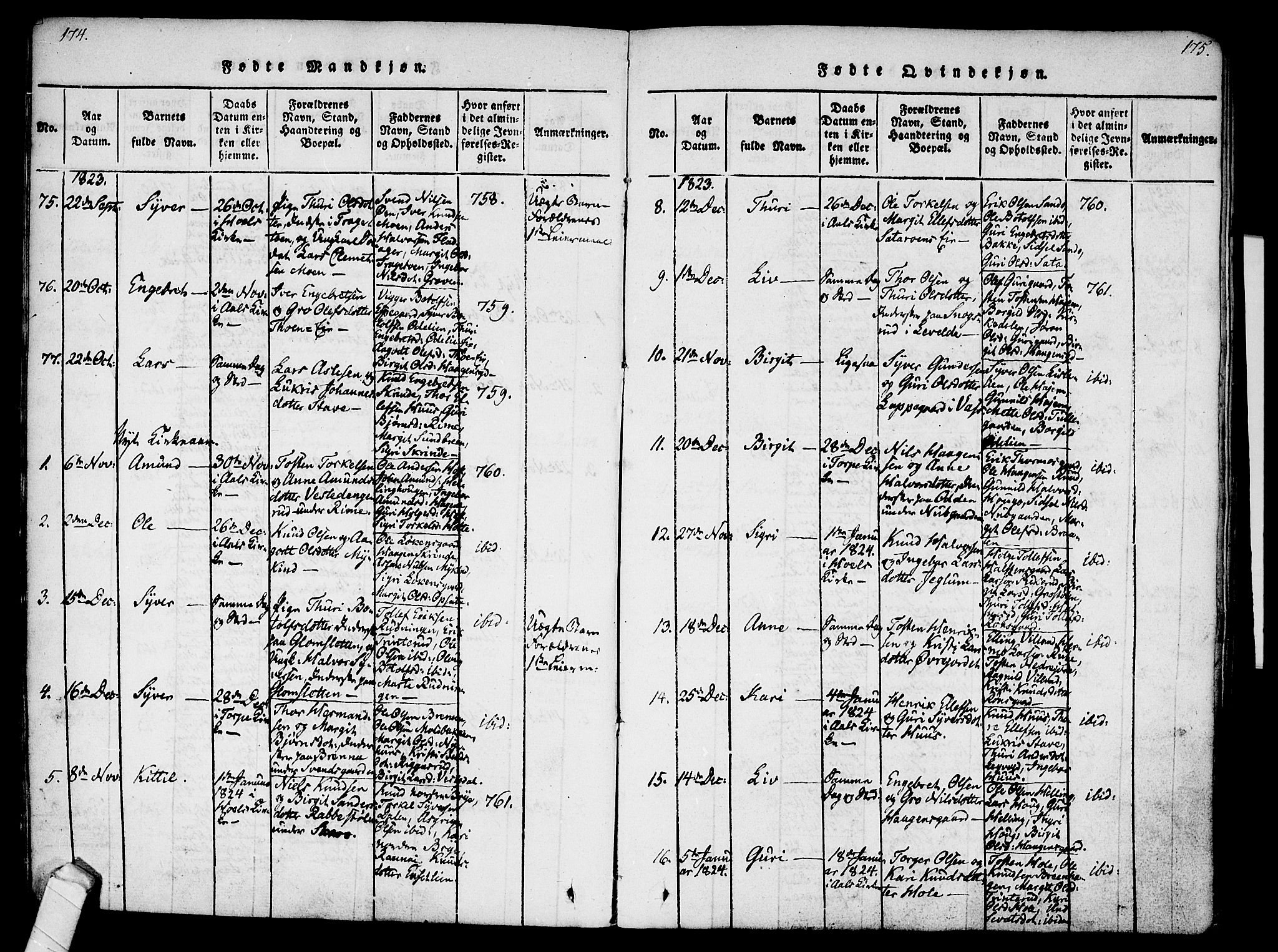 Ål kirkebøker, AV/SAKO-A-249/F/Fa/L0004: Parish register (official) no. I 4, 1815-1825, p. 174-175