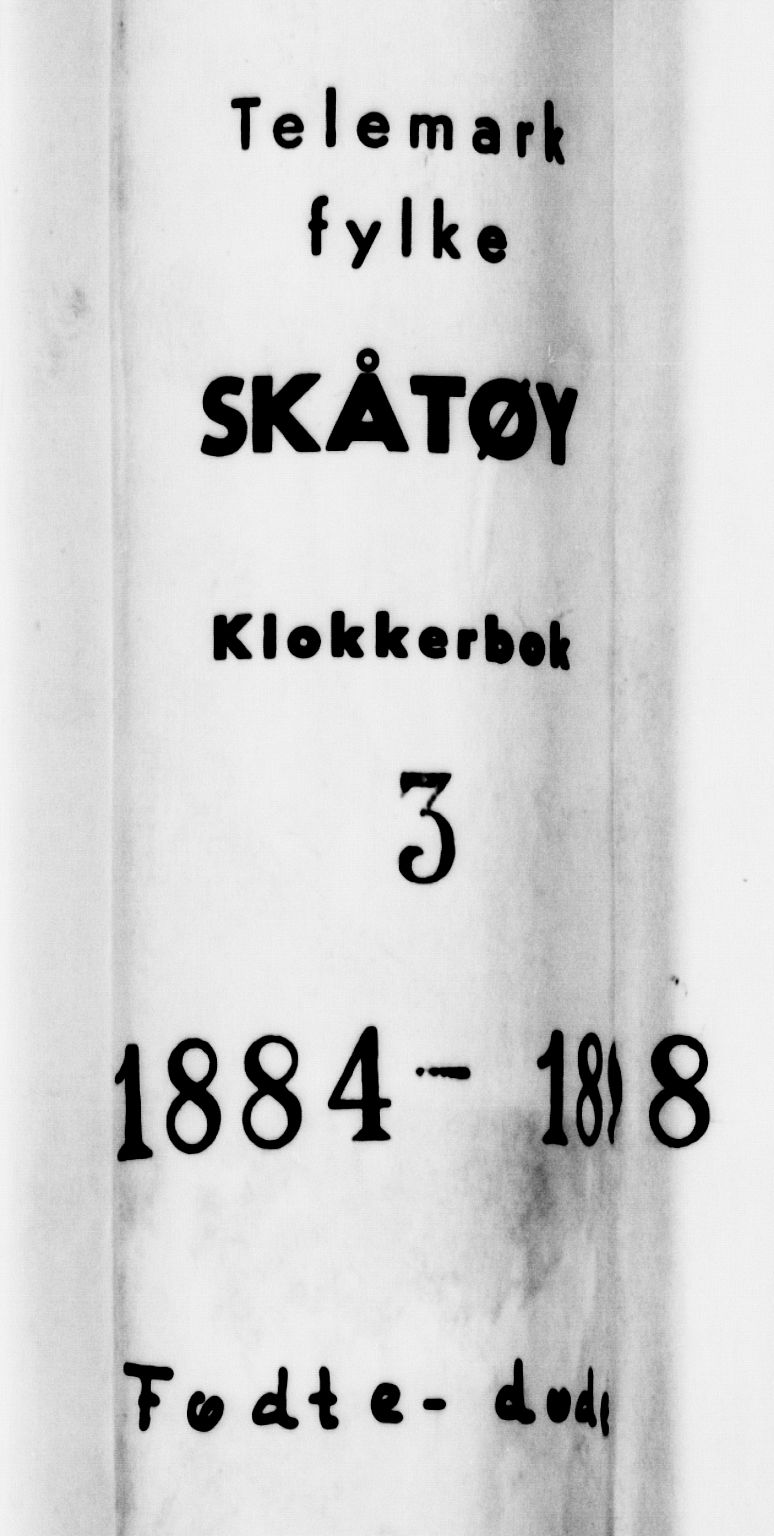 Skåtøy kirkebøker, SAKO/A-304/G/Ga/L0003: Parish register (copy) no. I 3, 1884-1898