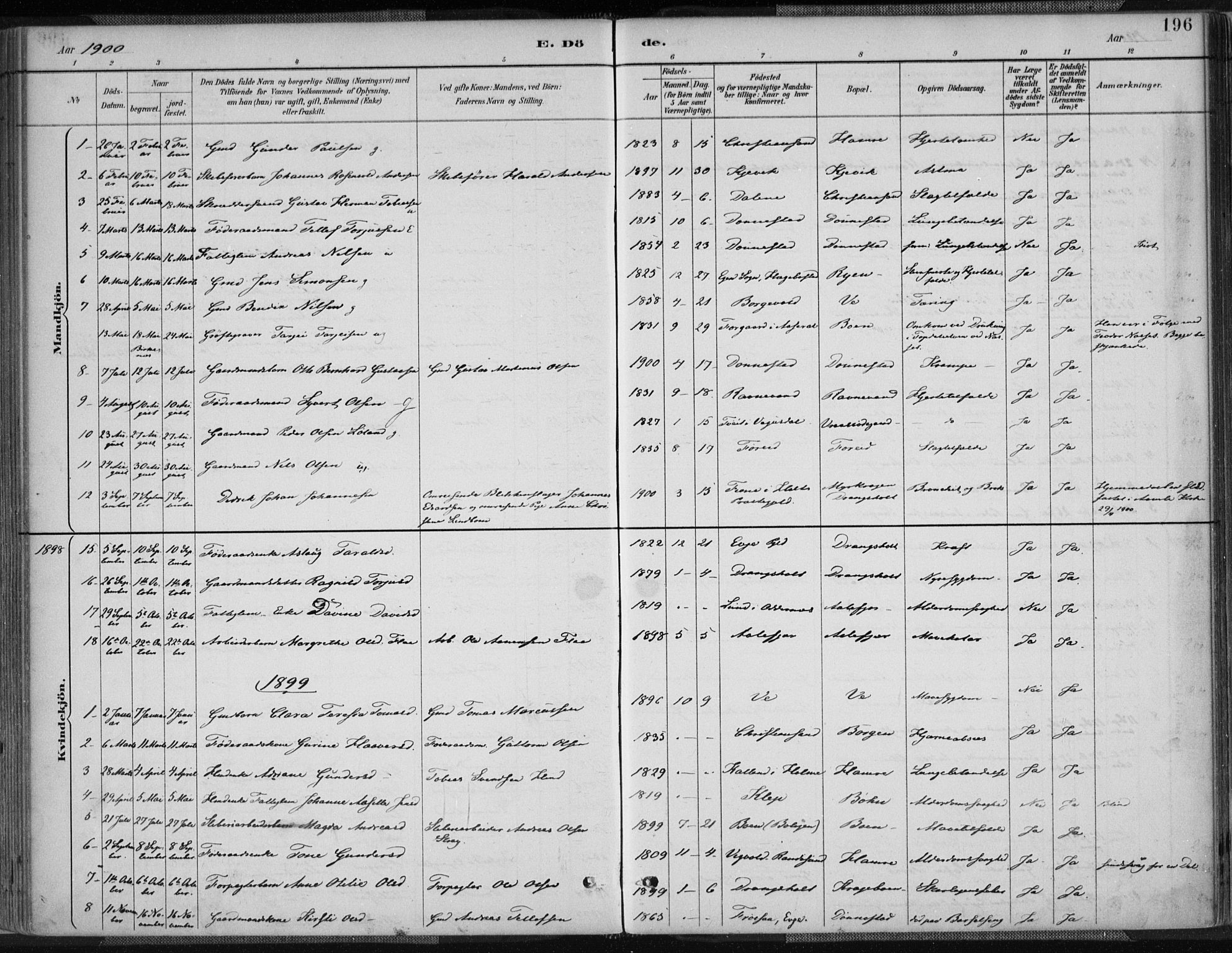 Tveit sokneprestkontor, AV/SAK-1111-0043/F/Fa/L0007: Parish register (official) no. A 7, 1887-1908, p. 196