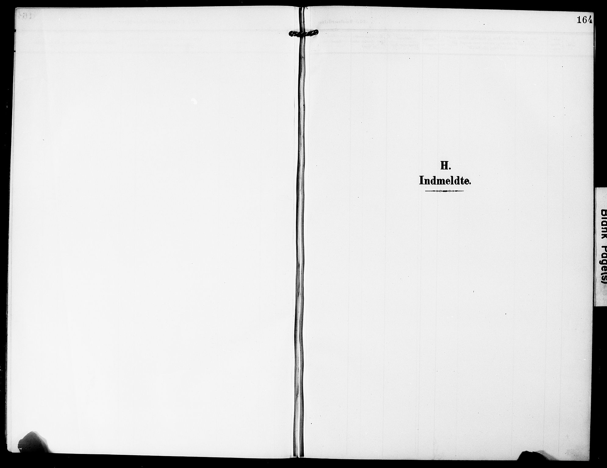 Hurum kirkebøker, AV/SAKO-A-229/G/Ga/L0004: Parish register (copy) no. I 4, 1904-1909, p. 164