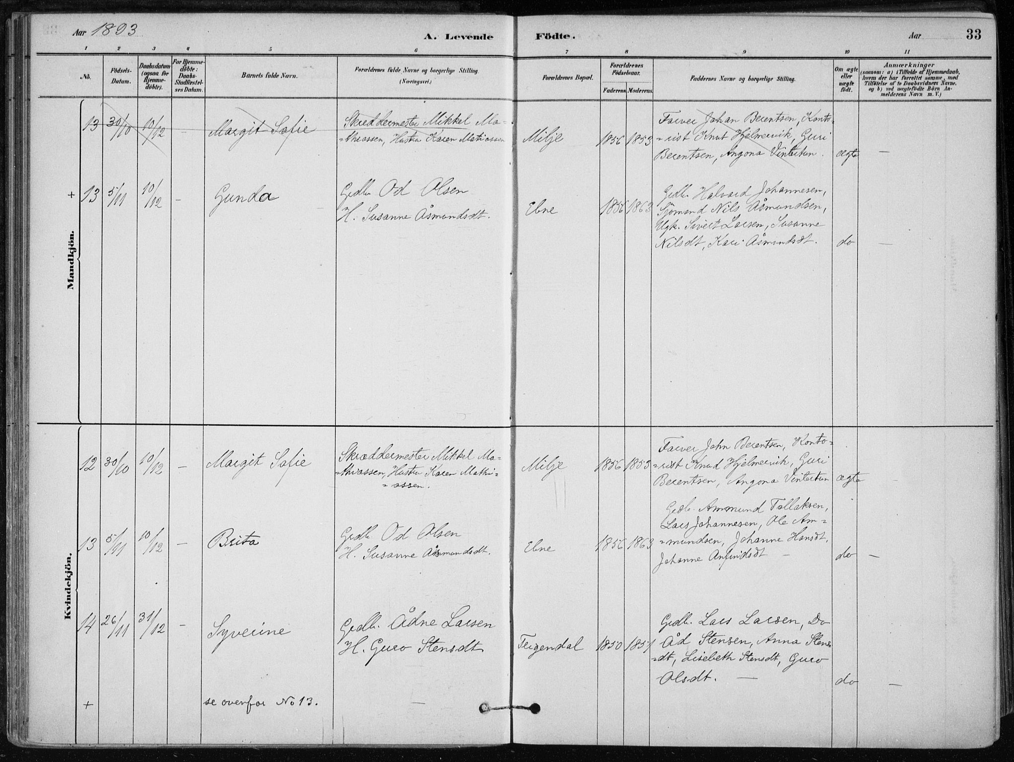 Skånevik sokneprestembete, AV/SAB-A-77801/H/Haa: Parish register (official) no. B 1, 1879-1914, p. 33