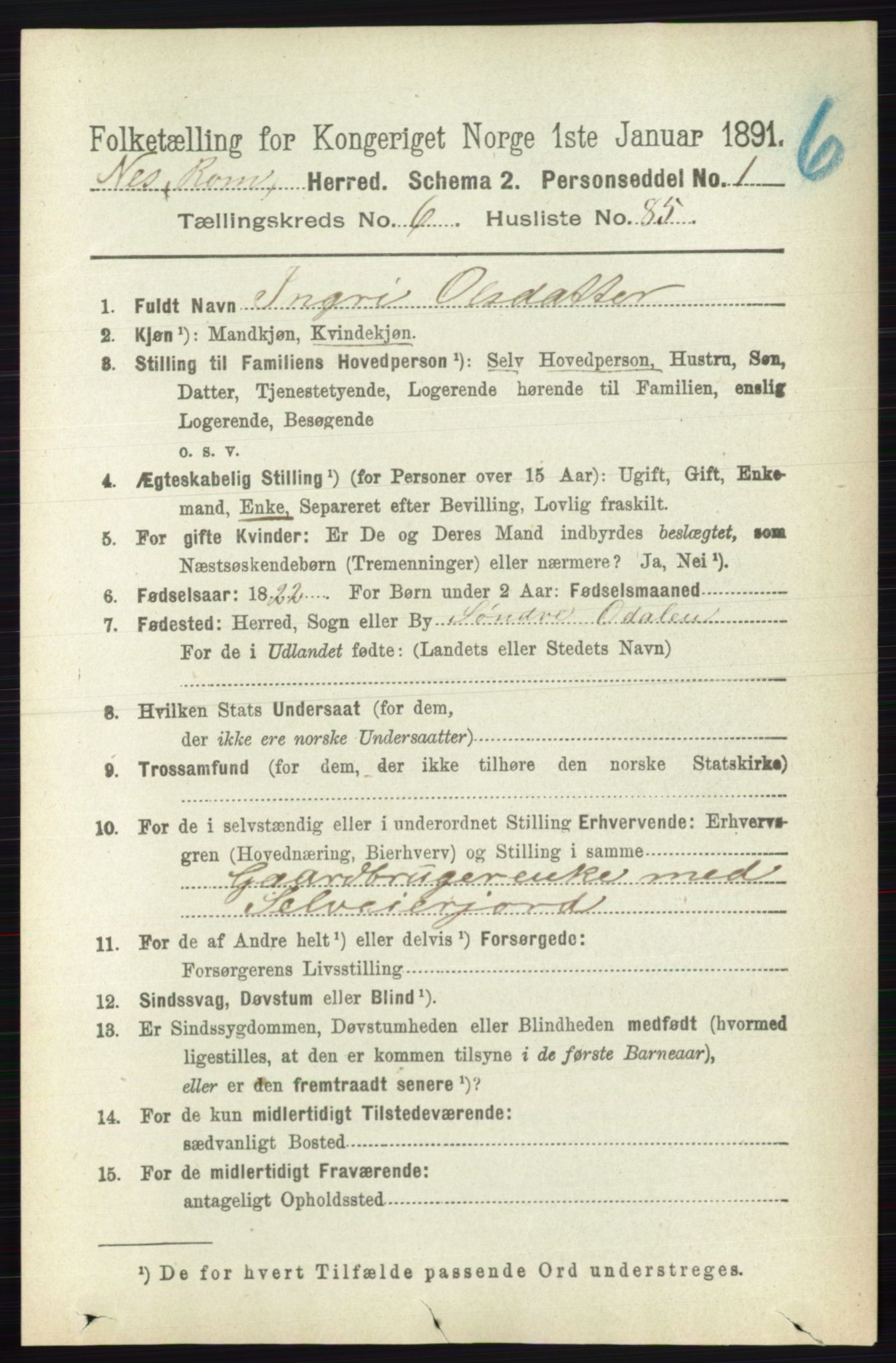 RA, 1891 census for 0236 Nes, 1891, p. 3908