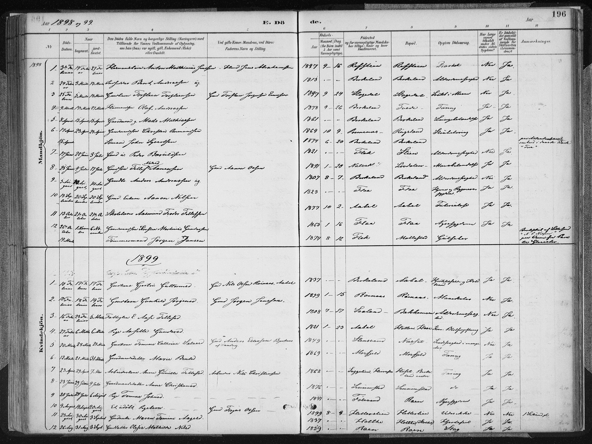 Birkenes sokneprestkontor, AV/SAK-1111-0004/F/Fa/L0005: Parish register (official) no. A 5, 1887-1907, p. 196