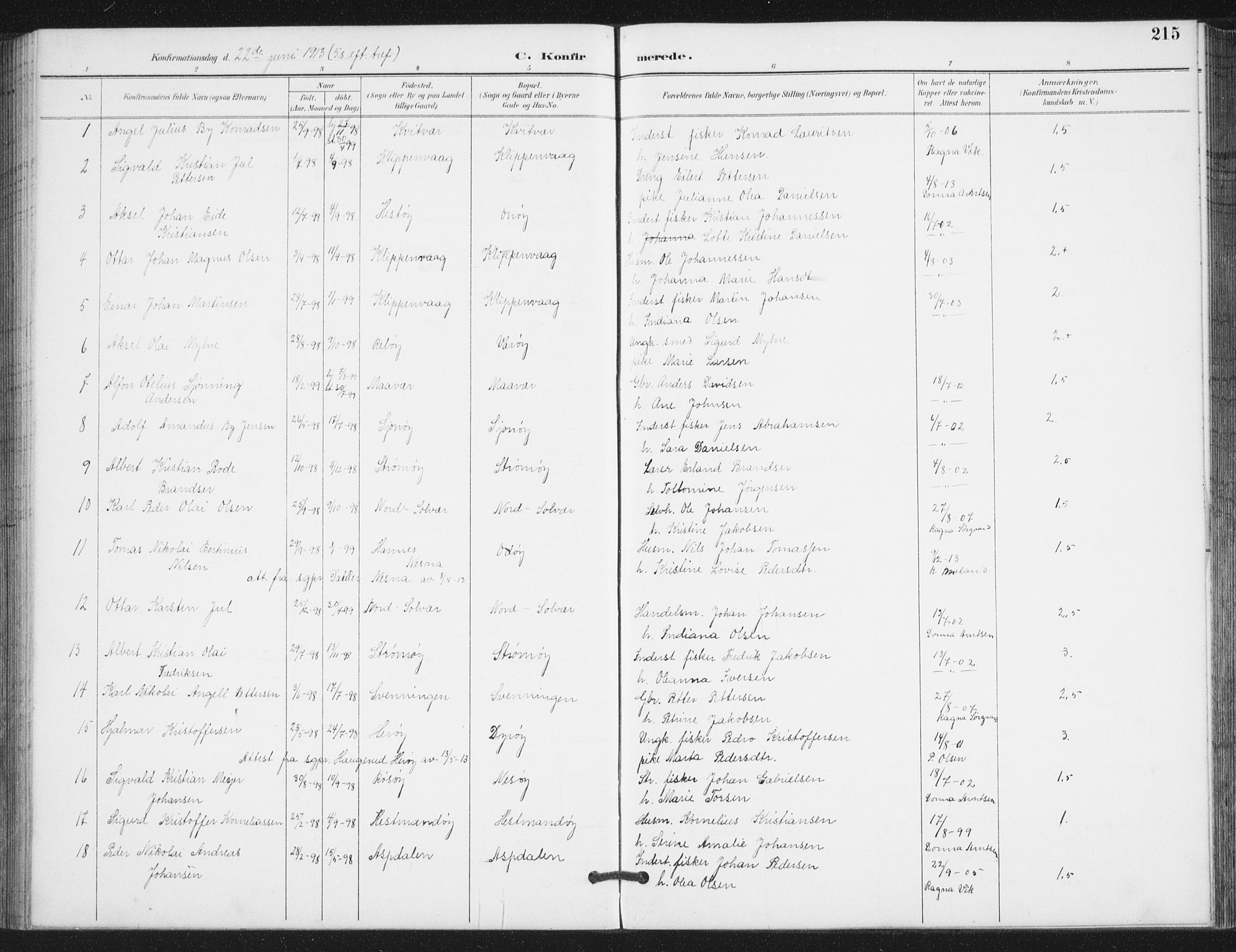 Ministerialprotokoller, klokkerbøker og fødselsregistre - Nordland, AV/SAT-A-1459/839/L0573: Parish register (copy) no. 839C03, 1892-1917, p. 215