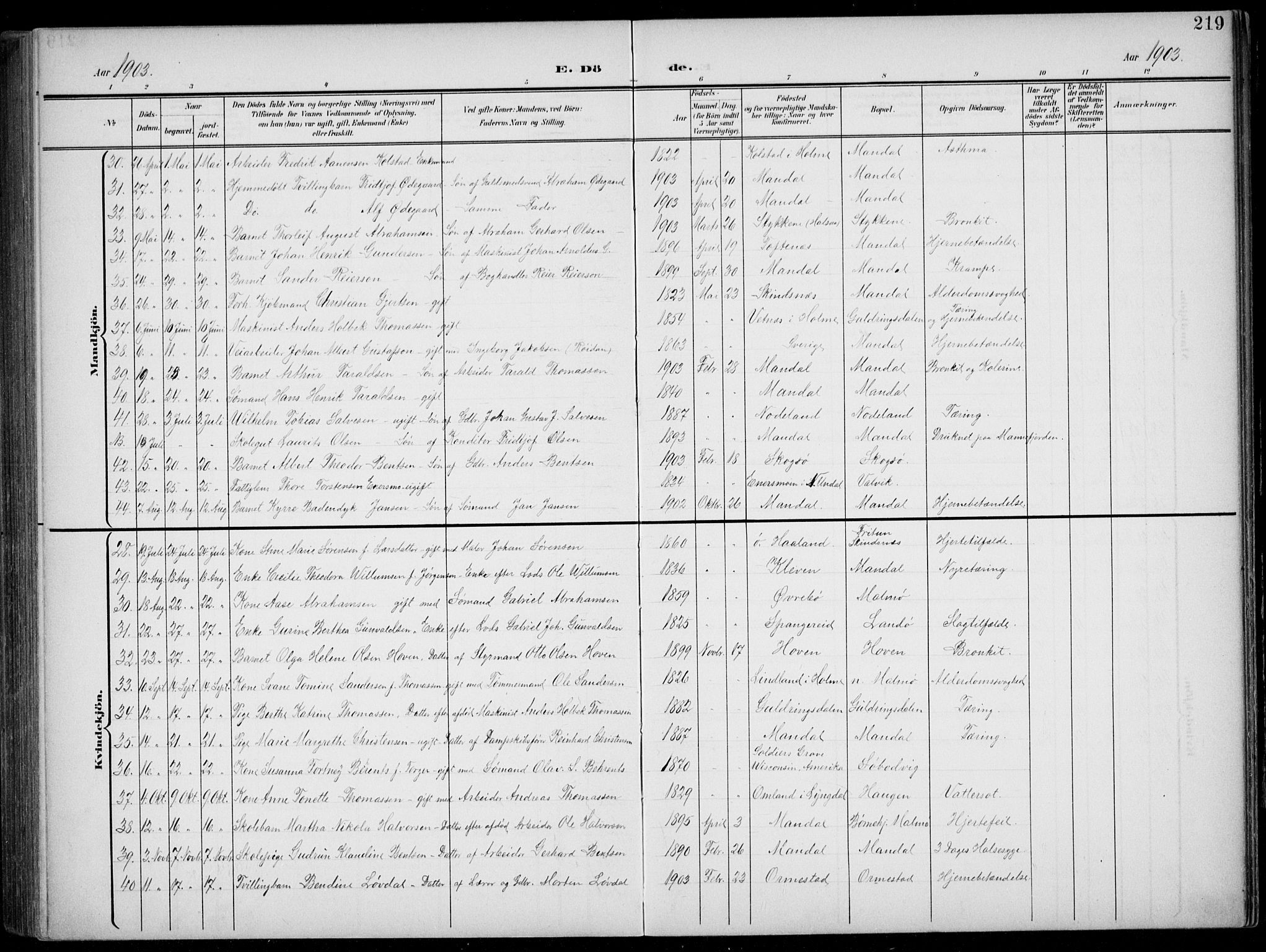 Mandal sokneprestkontor, AV/SAK-1111-0030/F/Fb/Fba/L0012: Parish register (copy) no. B 6, 1899-1918, p. 219