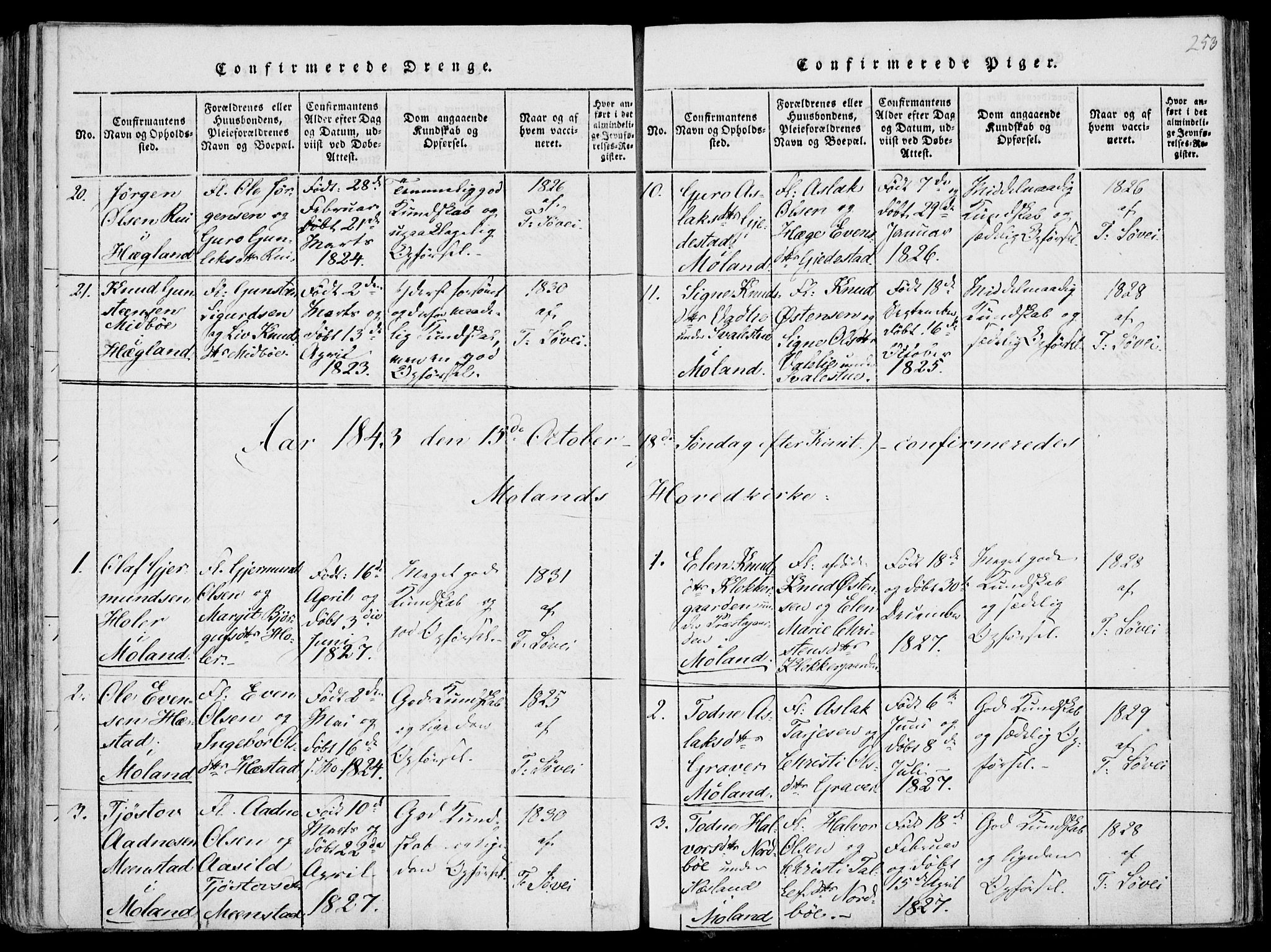 Fyresdal kirkebøker, SAKO/A-263/F/Fa/L0004: Parish register (official) no. I 4, 1815-1854, p. 253