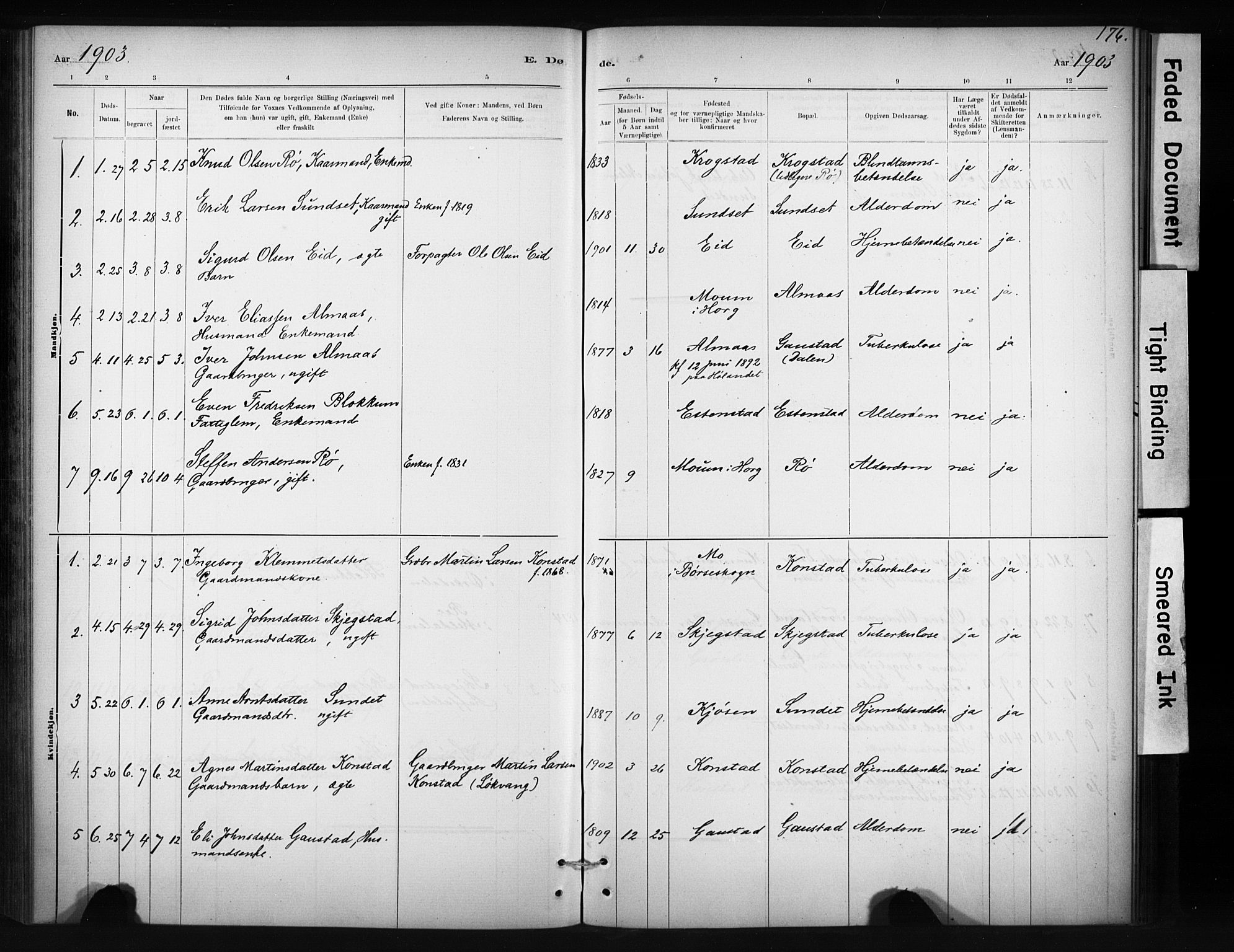 Ministerialprotokoller, klokkerbøker og fødselsregistre - Sør-Trøndelag, SAT/A-1456/694/L1127: Parish register (official) no. 694A01, 1887-1905, p. 176
