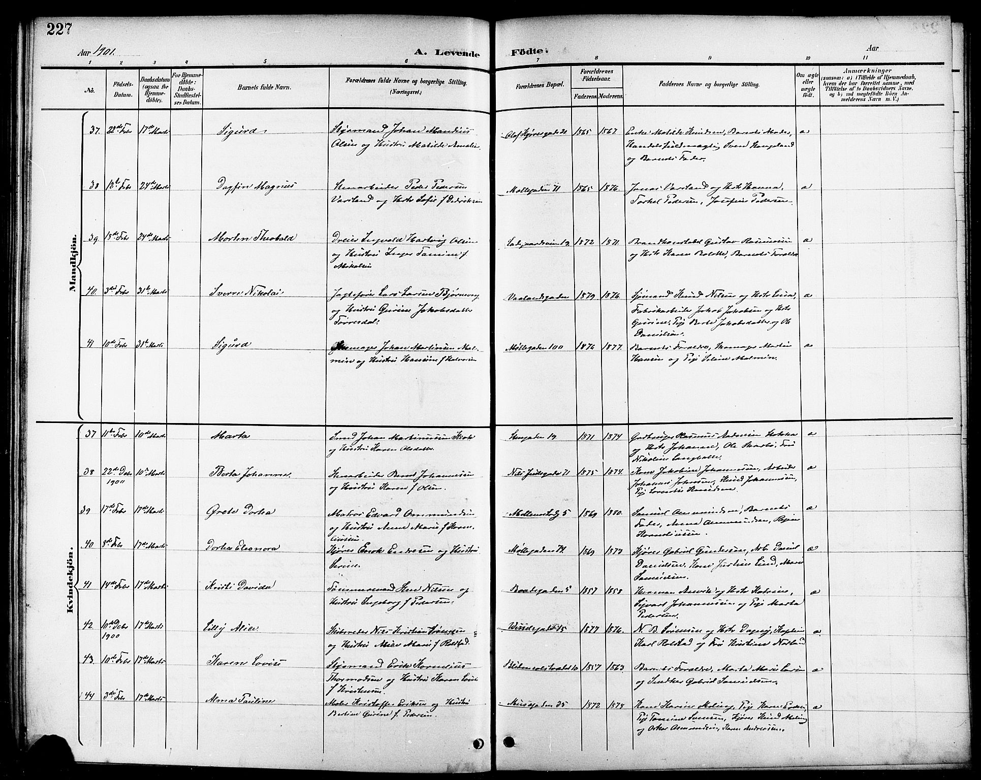 Domkirken sokneprestkontor, AV/SAST-A-101812/001/30/30BB/L0016: Parish register (copy) no. B 16, 1891-1902, p. 227