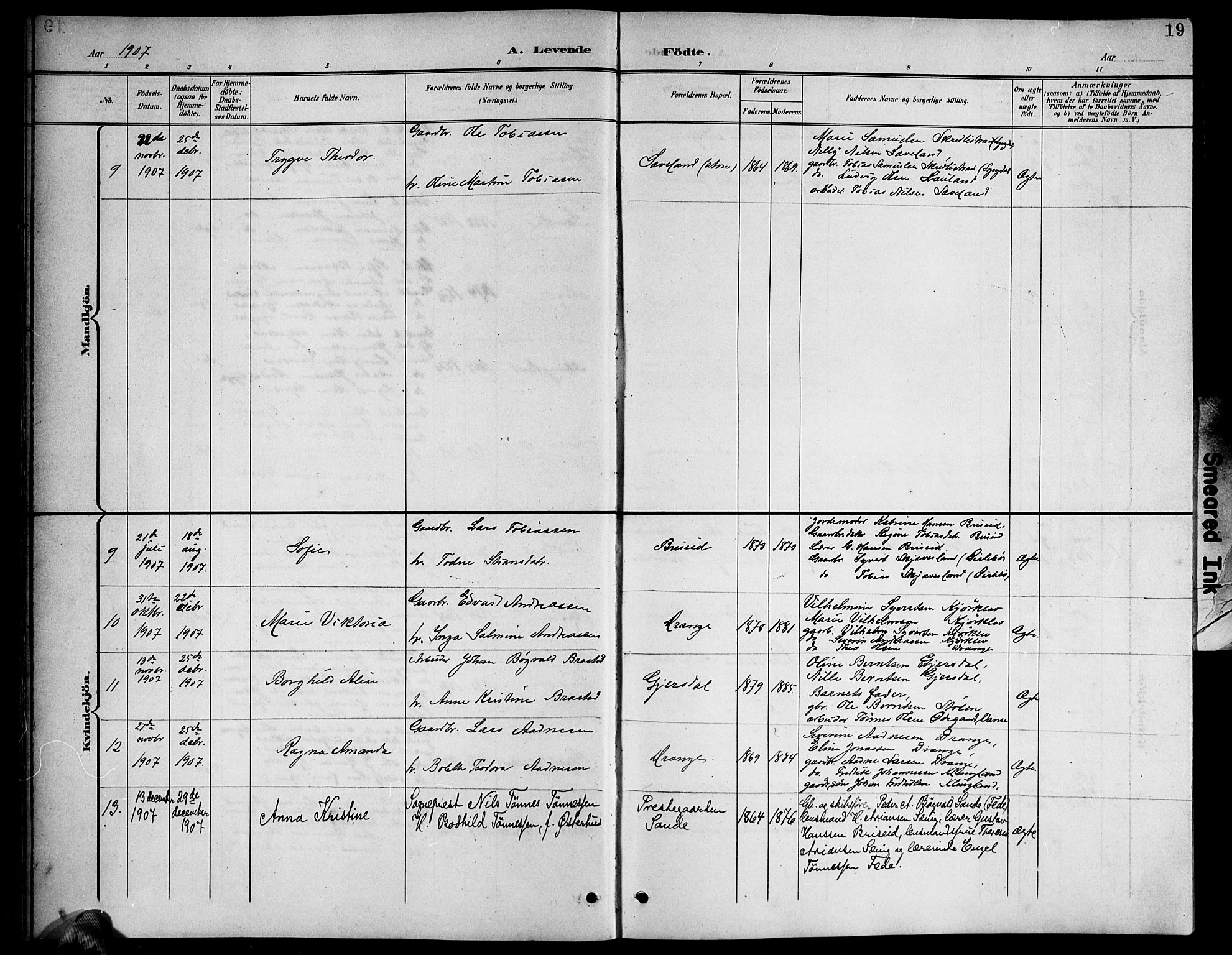 Herad sokneprestkontor, AV/SAK-1111-0018/F/Fb/Fba/L0005: Parish register (copy) no. B 5, 1899-1921, p. 19