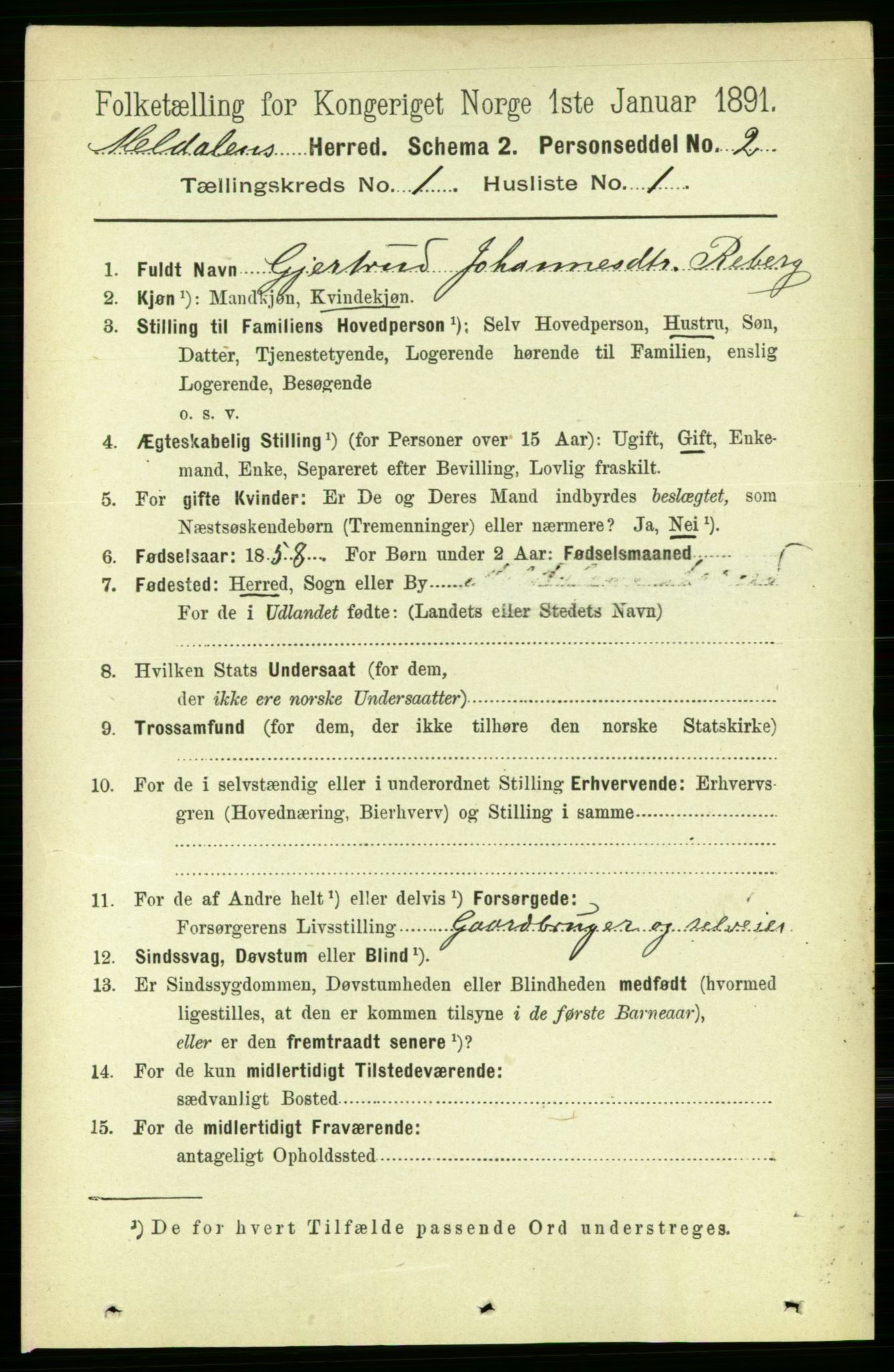 RA, 1891 census for 1636 Meldal, 1891, p. 156