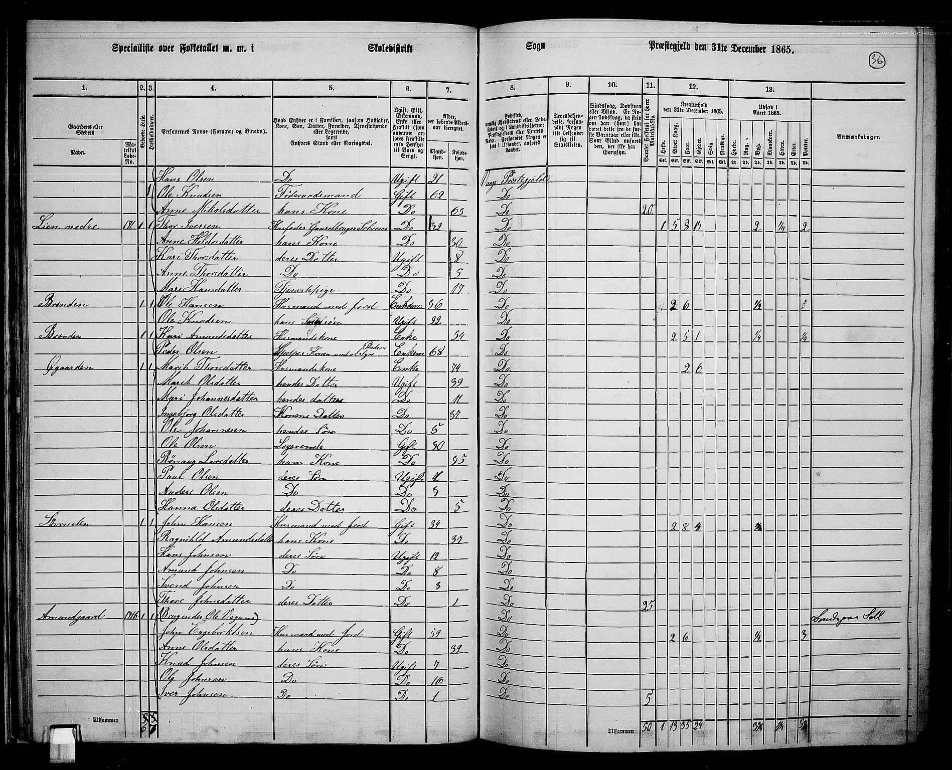 RA, 1865 census for Vågå, 1865, p. 33