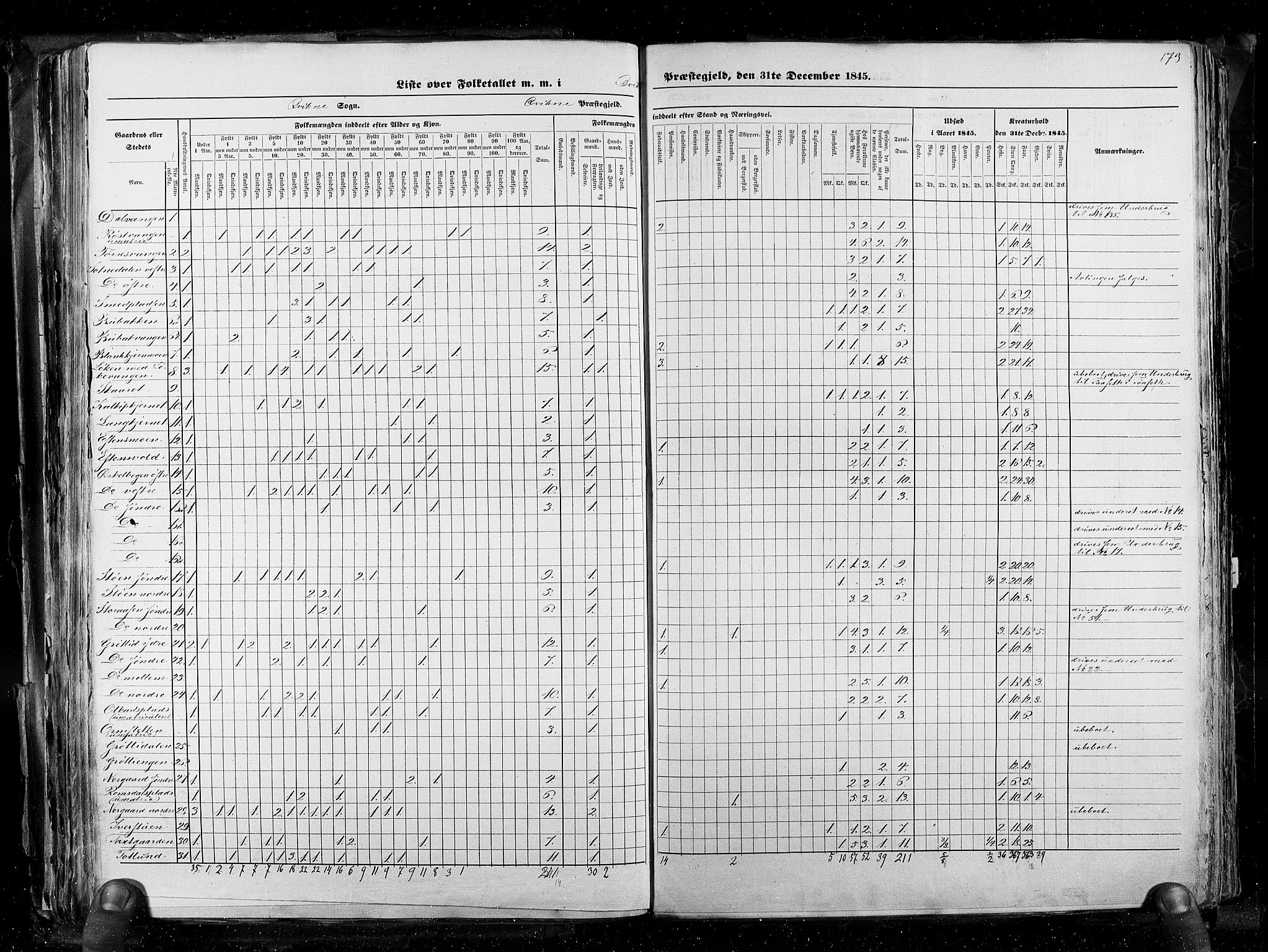 RA, Census 1845, vol. 3: Hedemarken amt og Kristians amt, 1845, p. 173