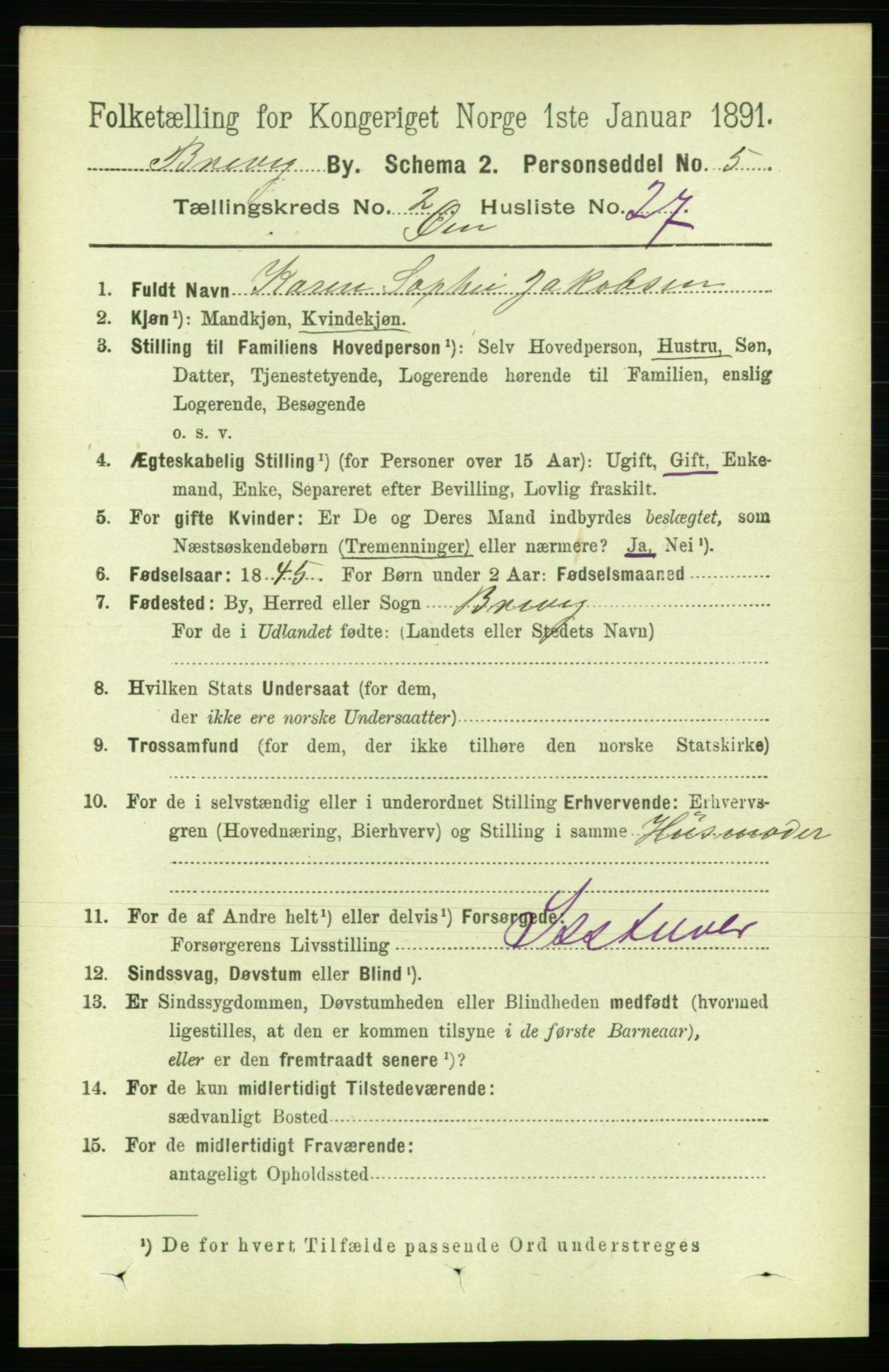 RA, 1891 census for 0804 Brevik, 1891, p. 1780