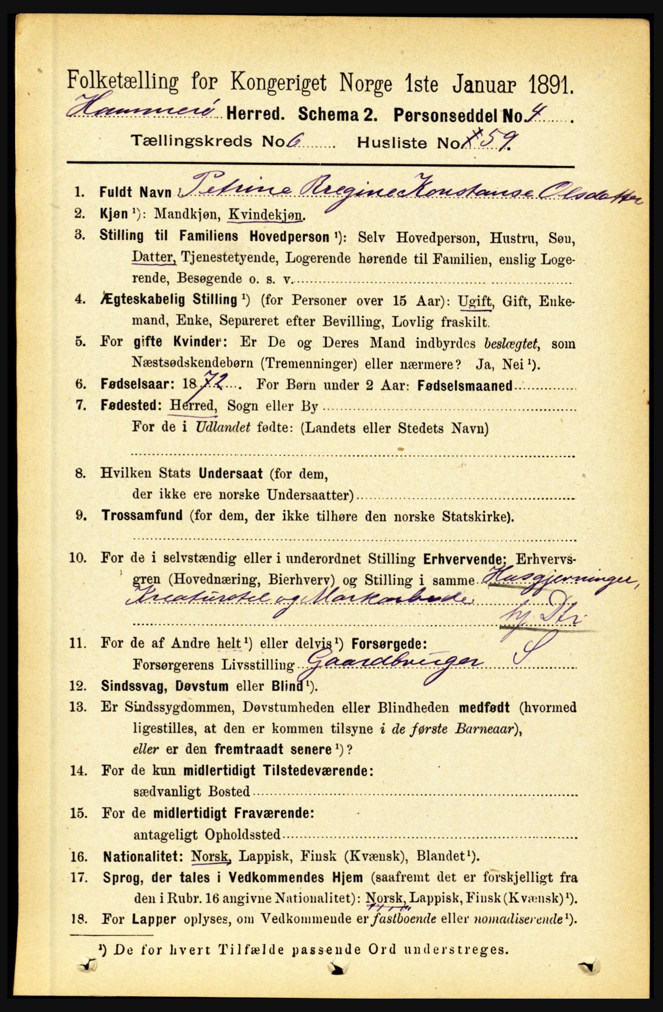 RA, 1891 census for 1849 Hamarøy, 1891, p. 3357