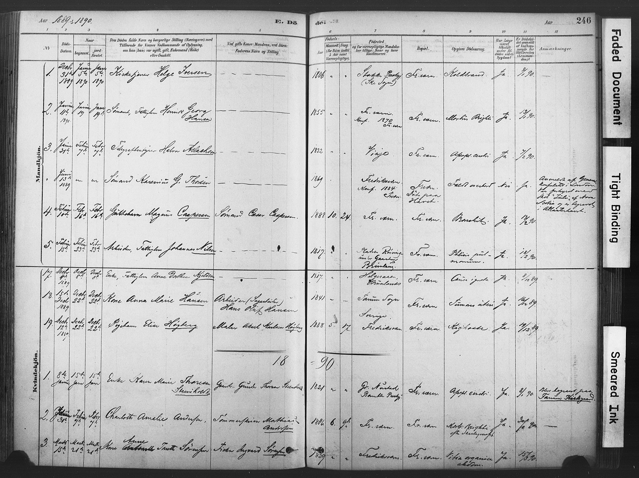 Stavern kirkebøker, AV/SAKO-A-318/F/Fa/L0008: Parish register (official) no. 8, 1878-1905, p. 246