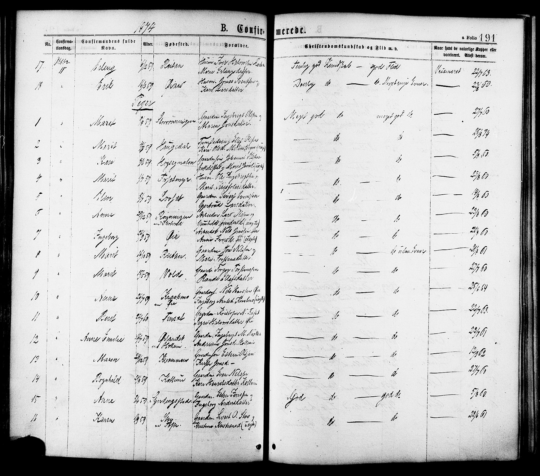 Ministerialprotokoller, klokkerbøker og fødselsregistre - Sør-Trøndelag, AV/SAT-A-1456/691/L1079: Parish register (official) no. 691A11, 1873-1886, p. 191