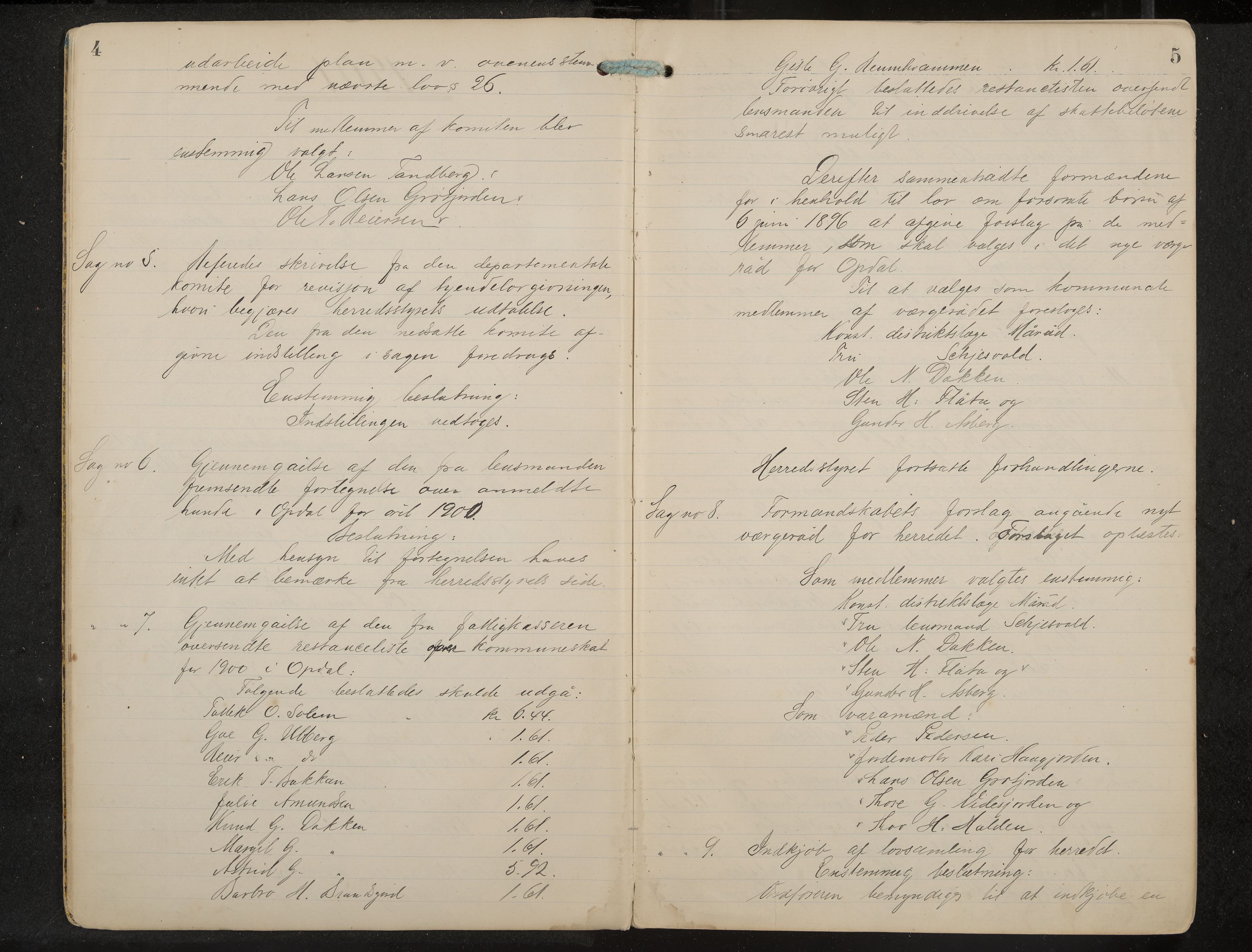 Uvdal formannskap og sentraladministrasjon, IKAK/0634021/A/Aa/L0001: Møtebok, 1901-1909, p. 4-5