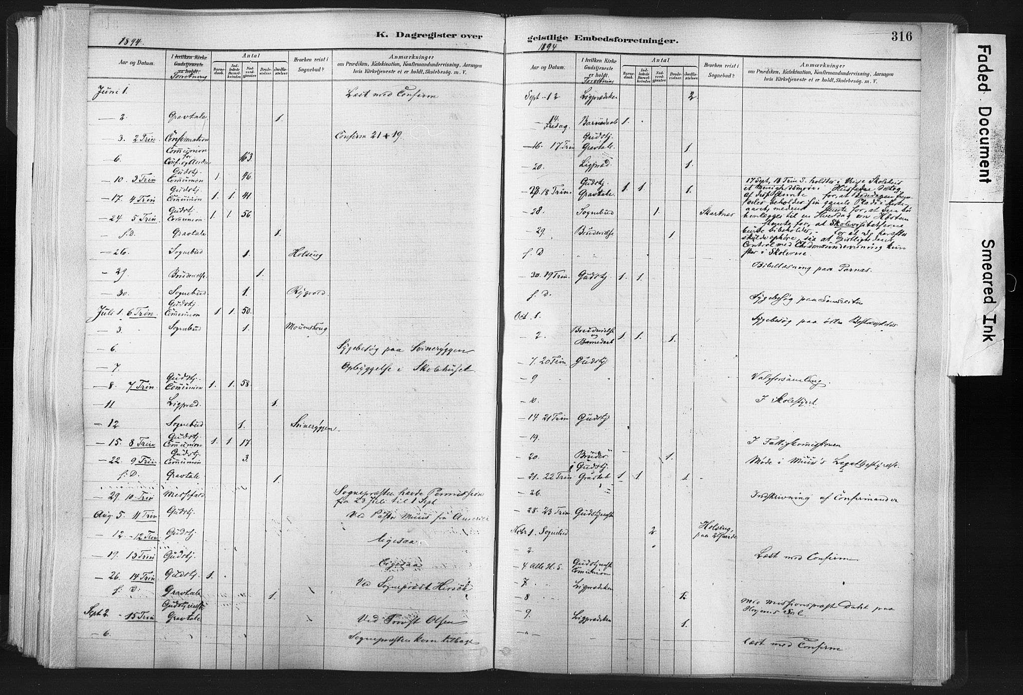 Ministerialprotokoller, klokkerbøker og fødselsregistre - Nord-Trøndelag, AV/SAT-A-1458/749/L0474: Parish register (official) no. 749A08, 1887-1903, p. 316