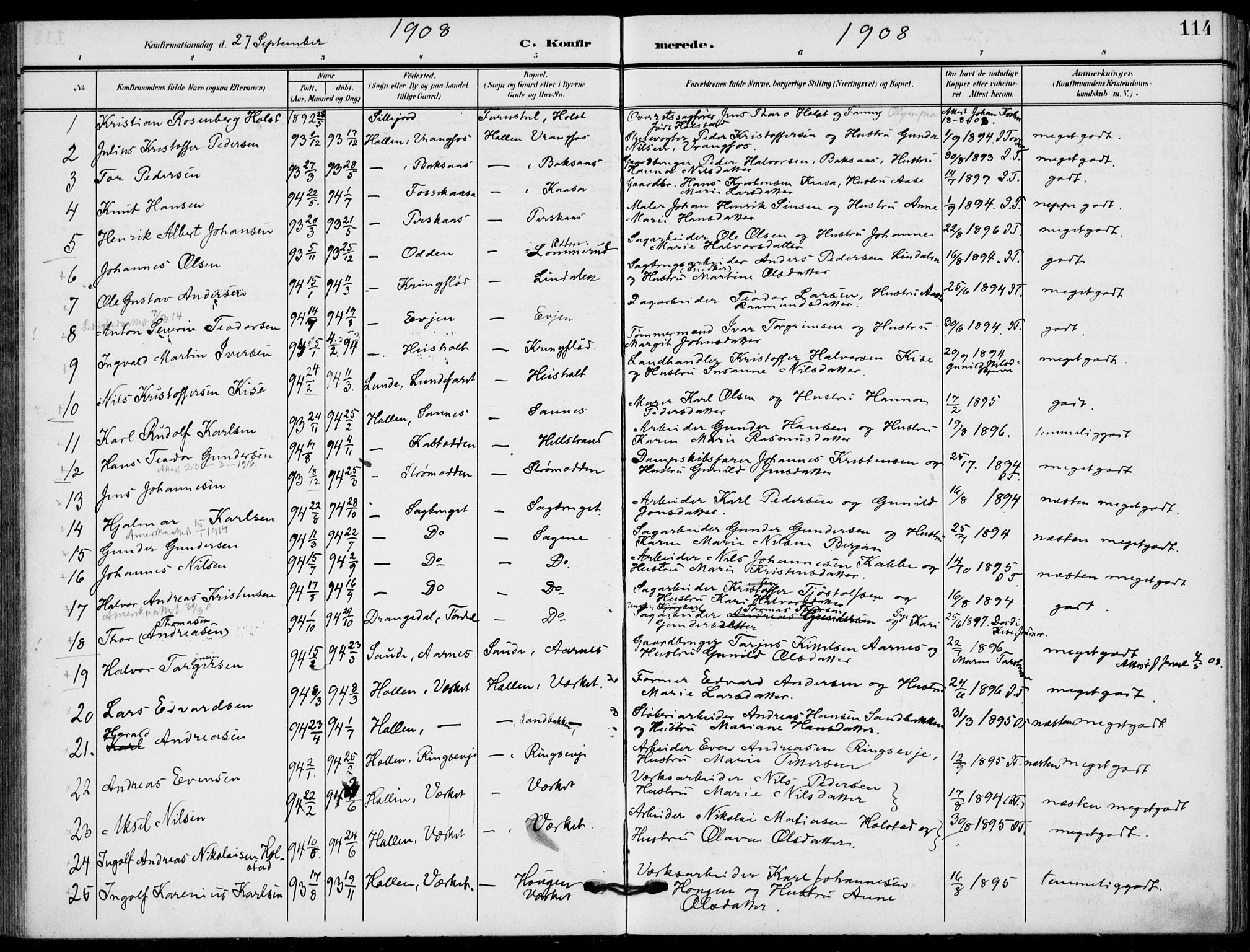 Holla kirkebøker, AV/SAKO-A-272/F/Fa/L0012: Parish register (official) no. 12, 1907-1923, p. 114