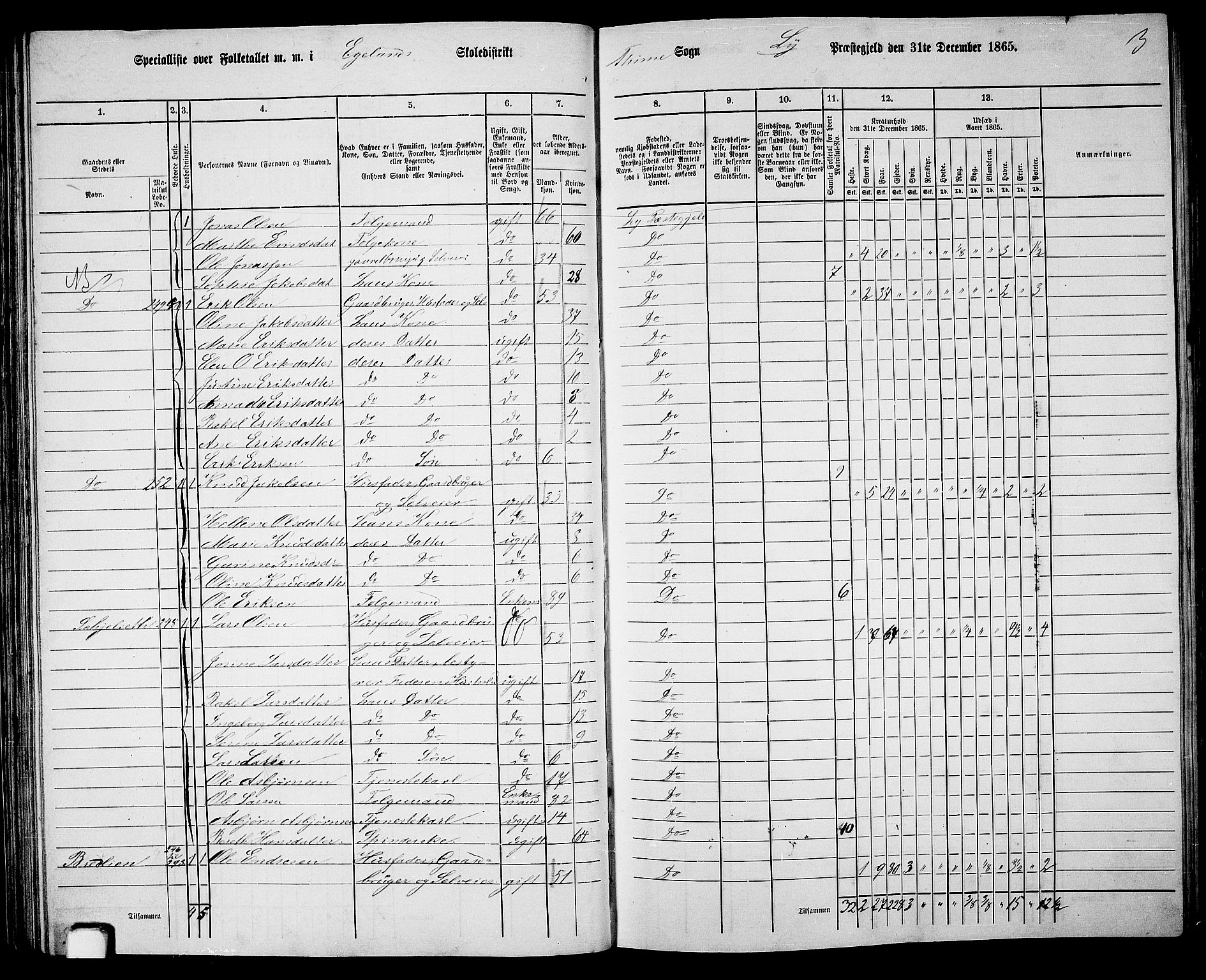 RA, 1865 census for Lye, 1865, p. 53