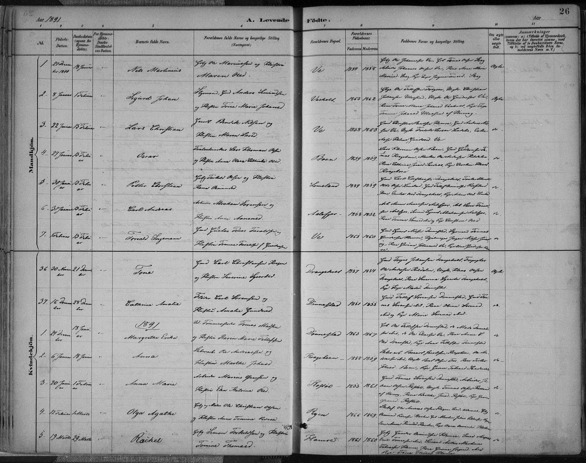 Tveit sokneprestkontor, AV/SAK-1111-0043/F/Fa/L0007: Parish register (official) no. A 7, 1887-1908, p. 26